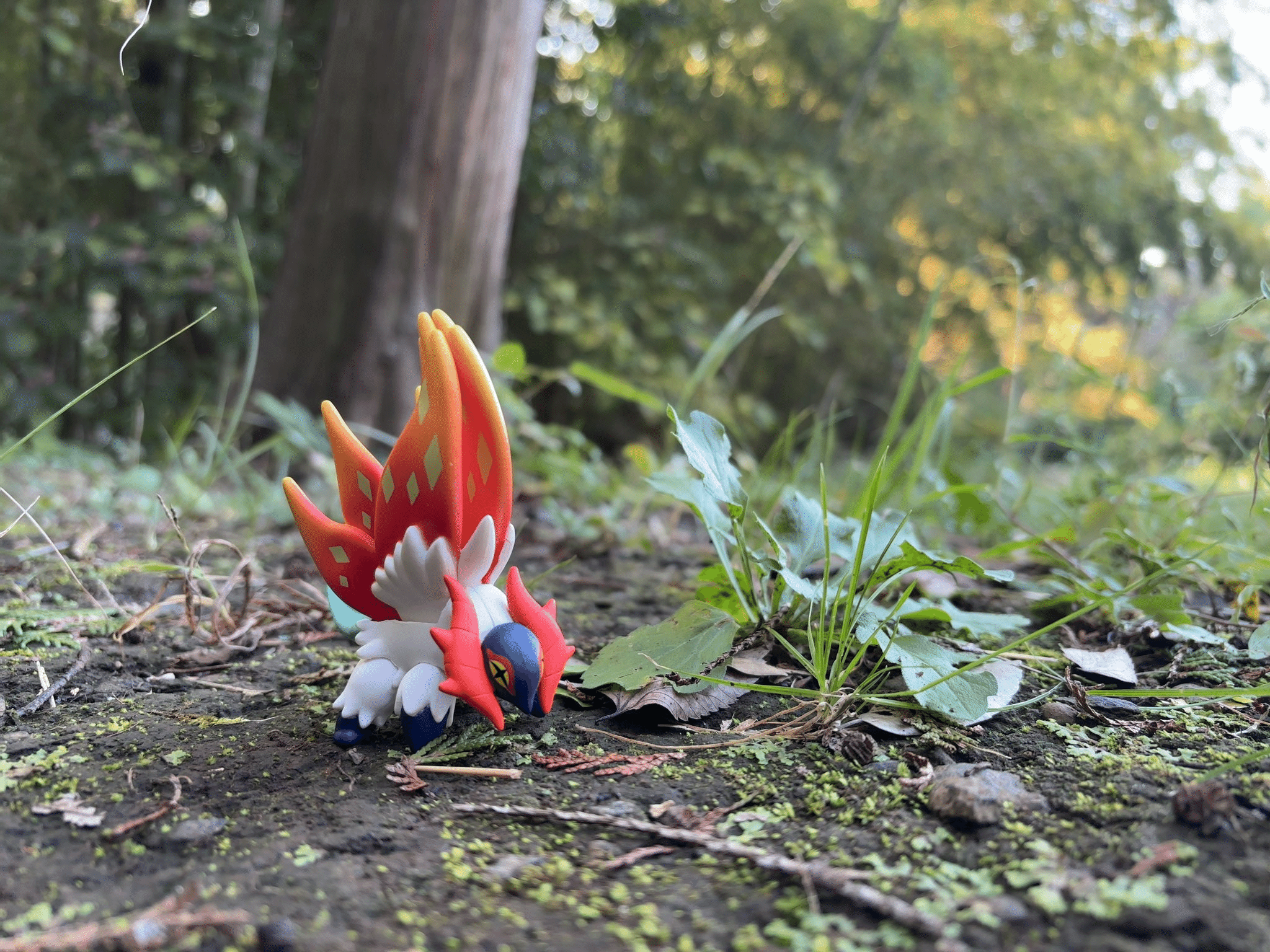 公式】ポケモン情報局 on X: 