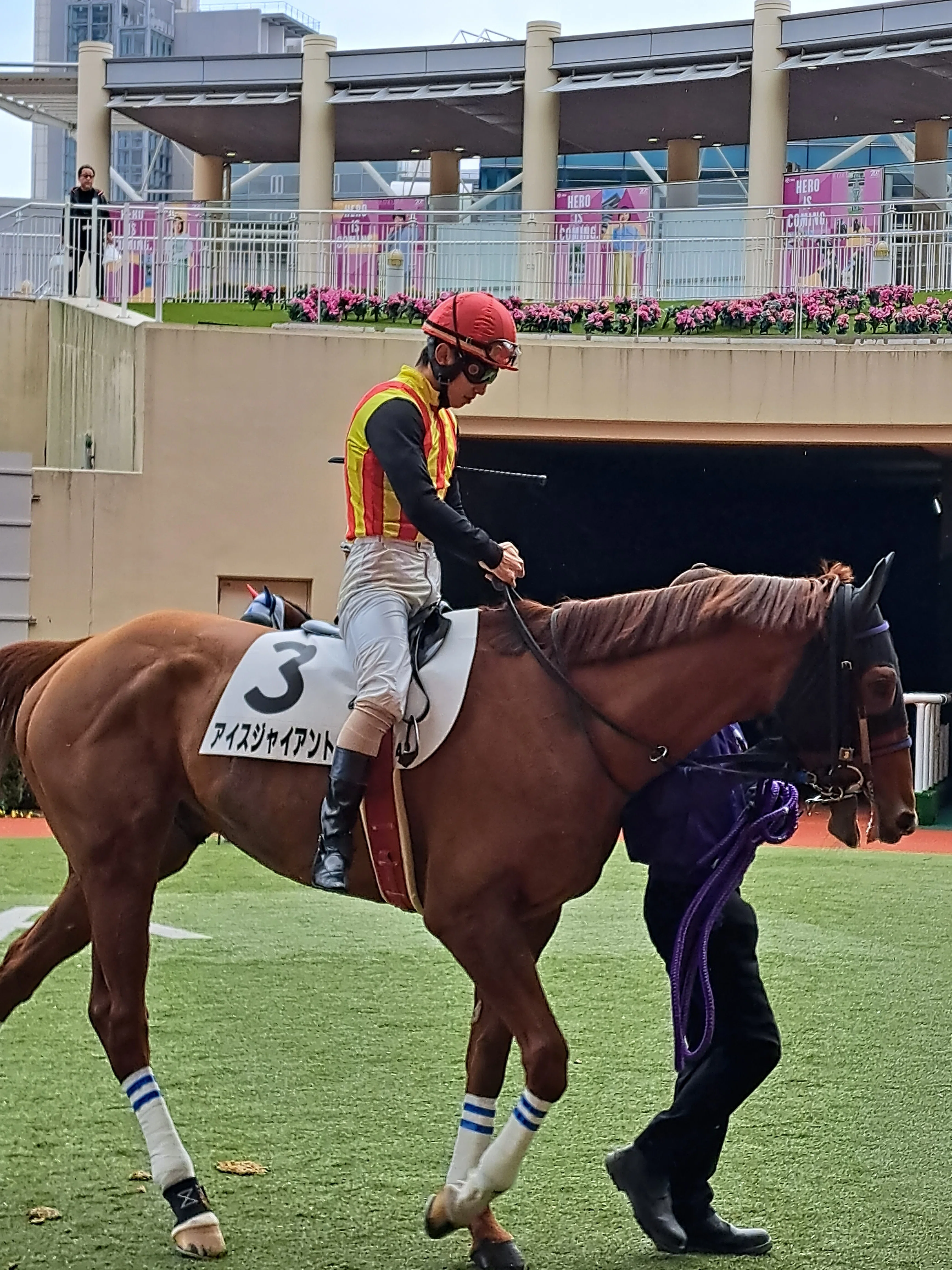2024年 障害レース 個人的ベスト20｜naka@競馬