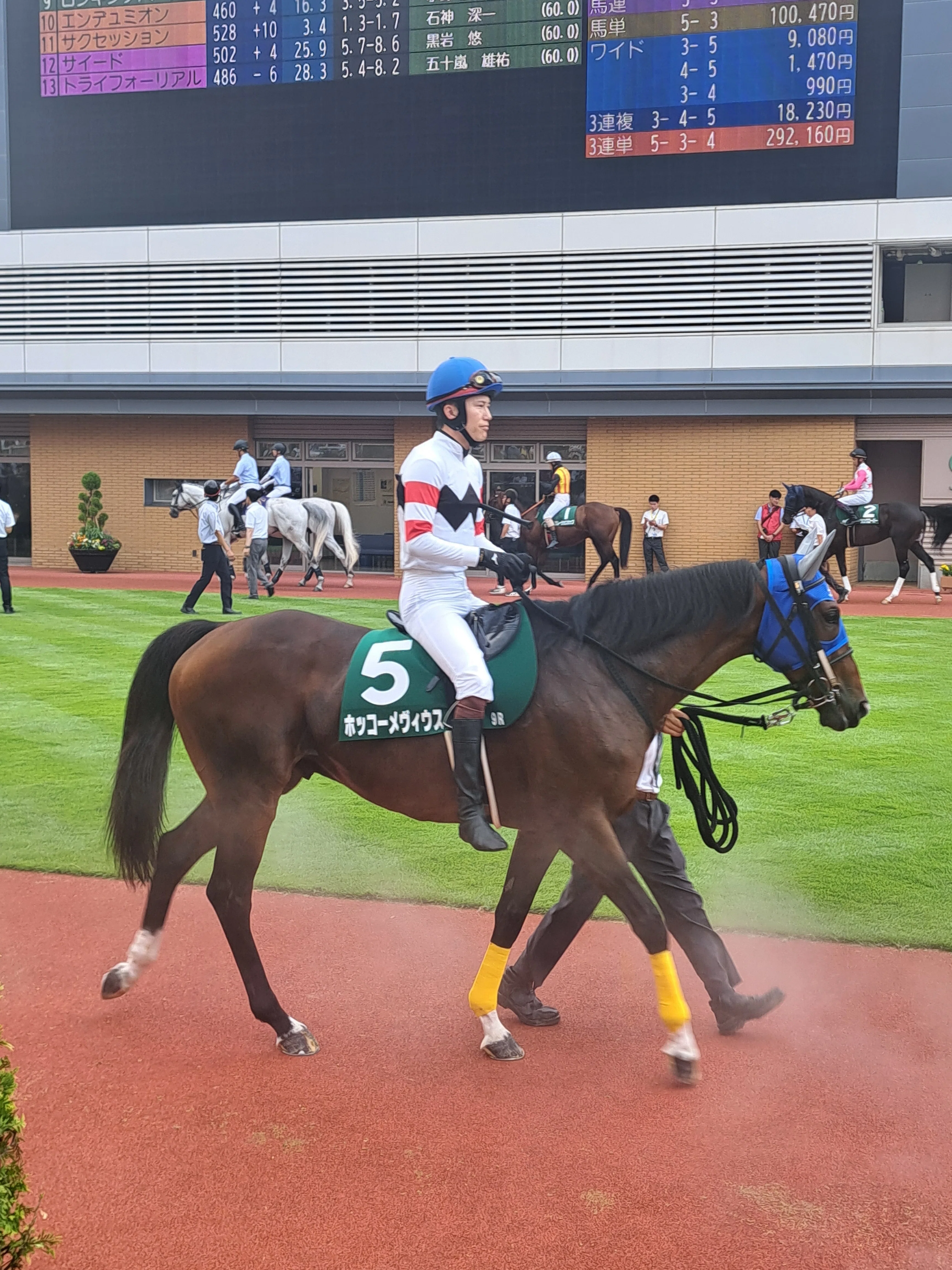 2024年 障害レース 個人的ベスト20｜naka@競馬