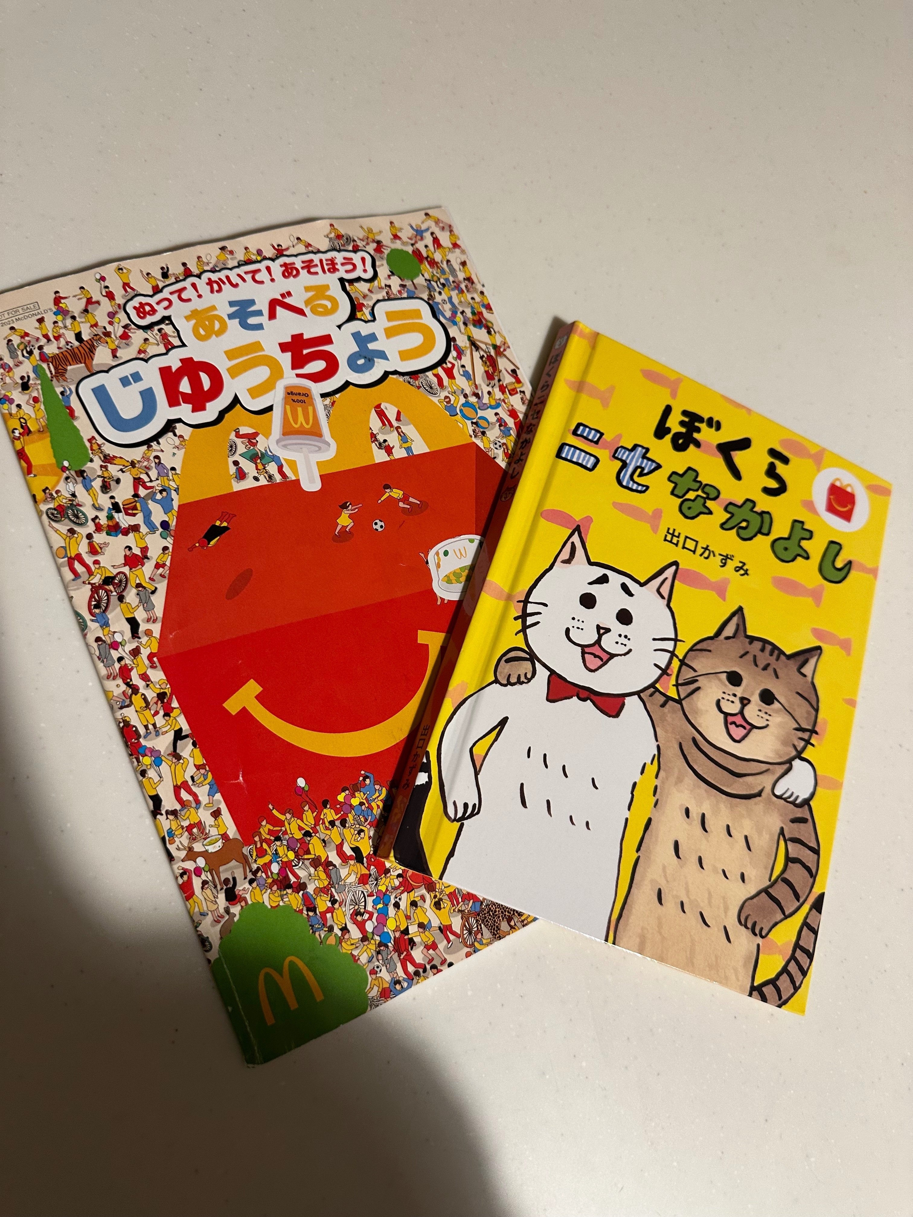 断捨離】2024年ミニマリスト女の捨てたモノ｜おもち｜フォロバ100