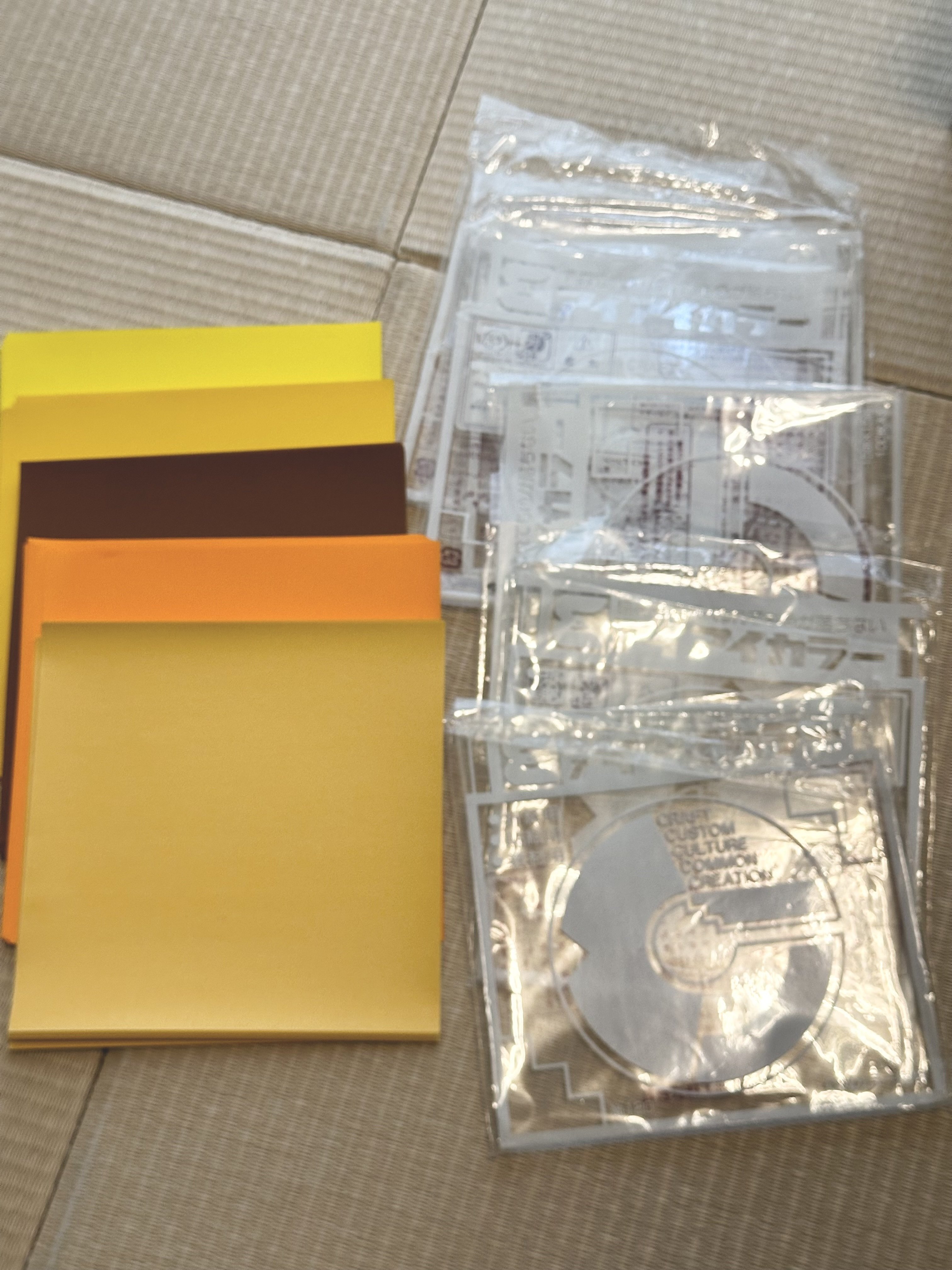 断捨離】2024年ミニマリスト女の捨てたモノ｜おもち｜フォロバ100