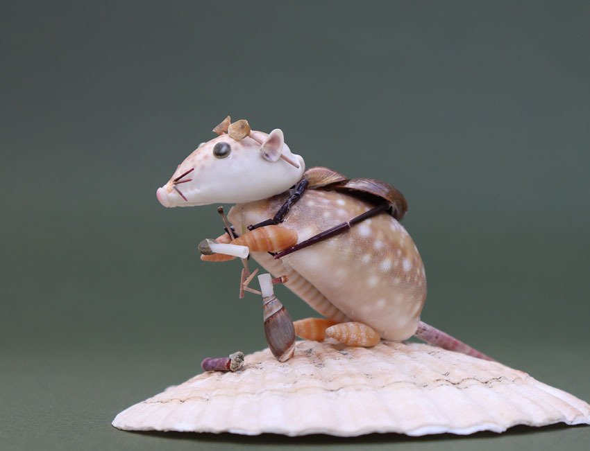 俺たちの時代」｜zoo_shell