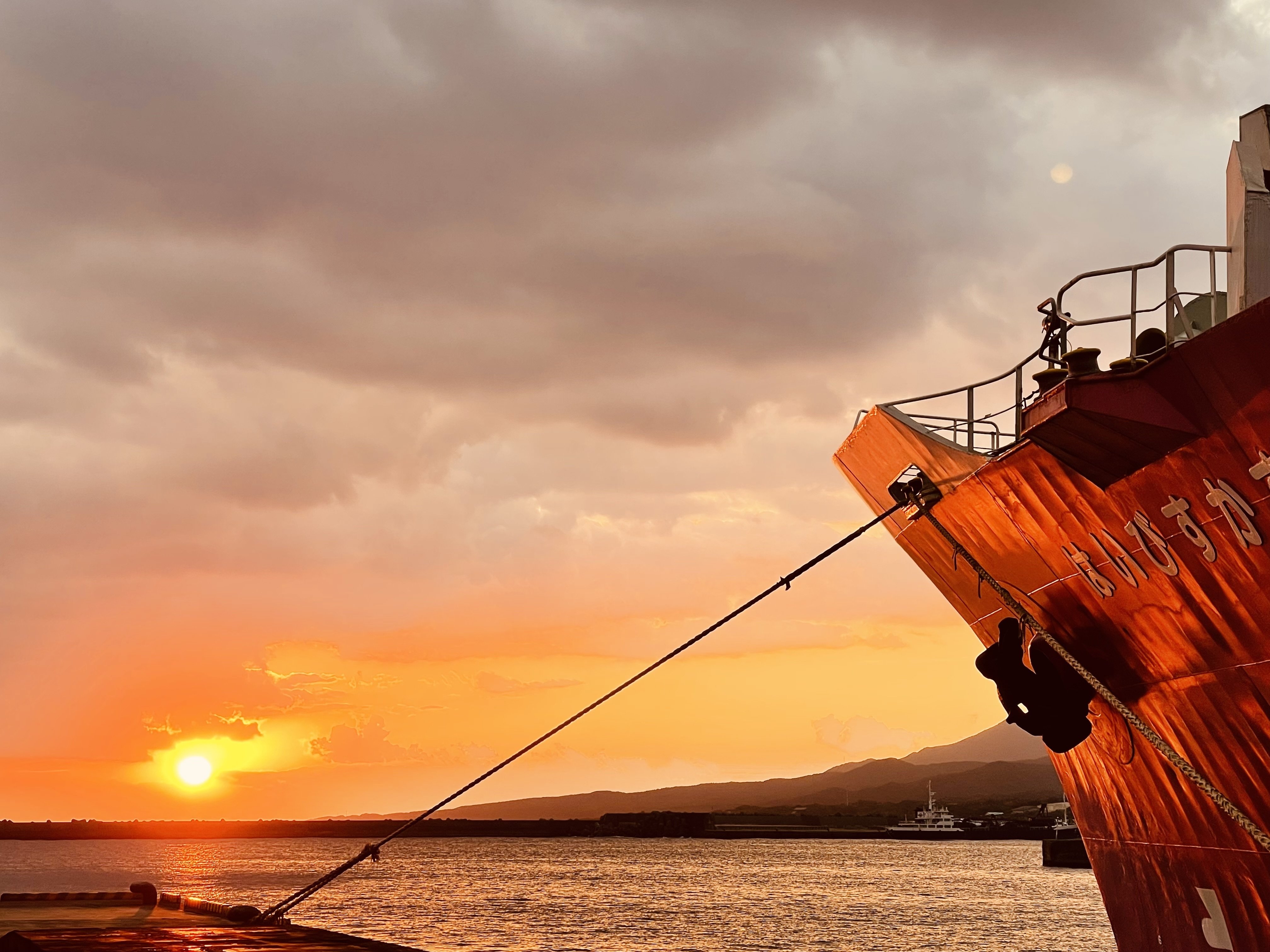 12月の屋久島-写真日記-｜maki takada | たかだ茉季