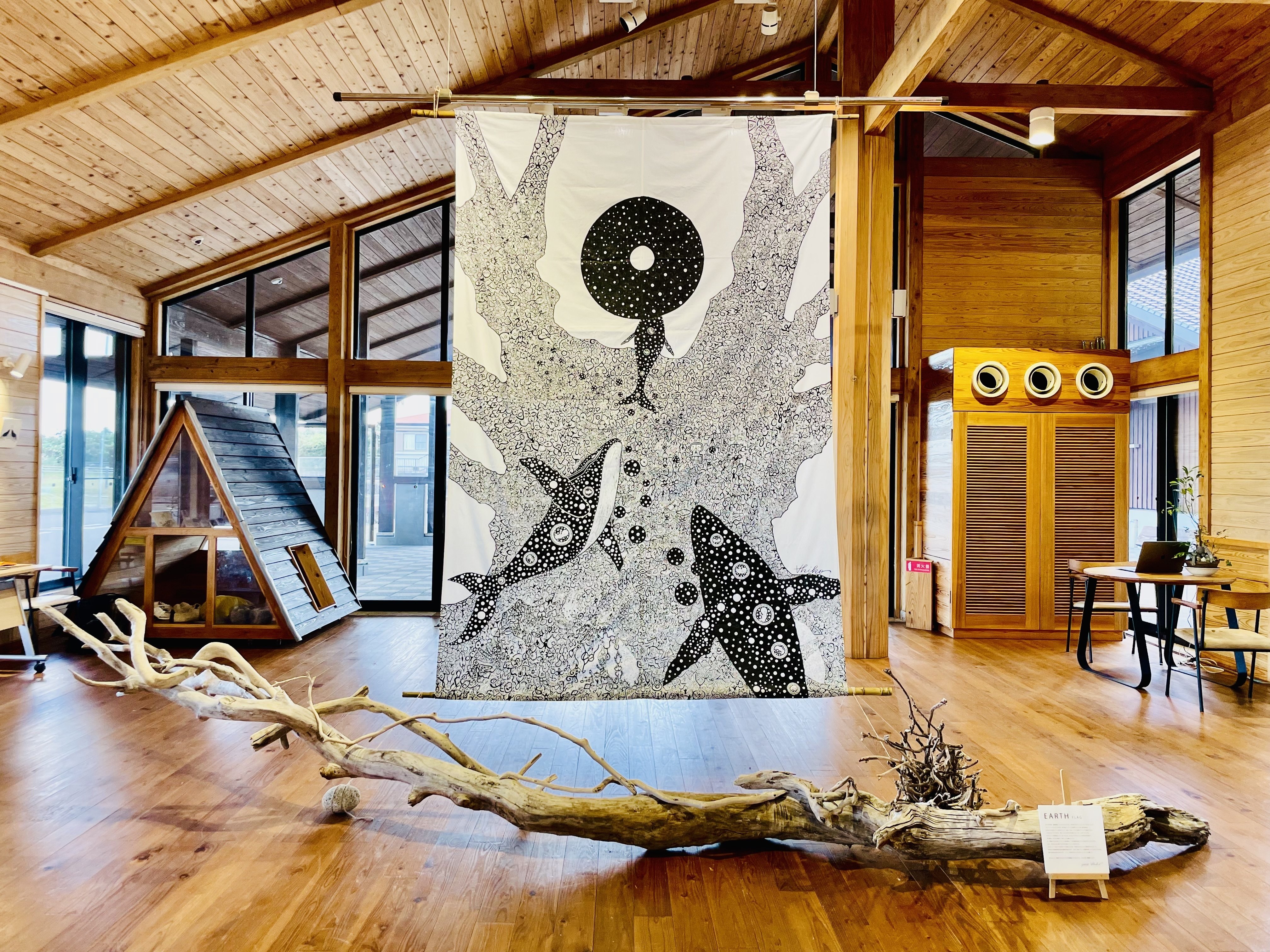 12月の屋久島-写真日記-｜maki takada | たかだ茉季