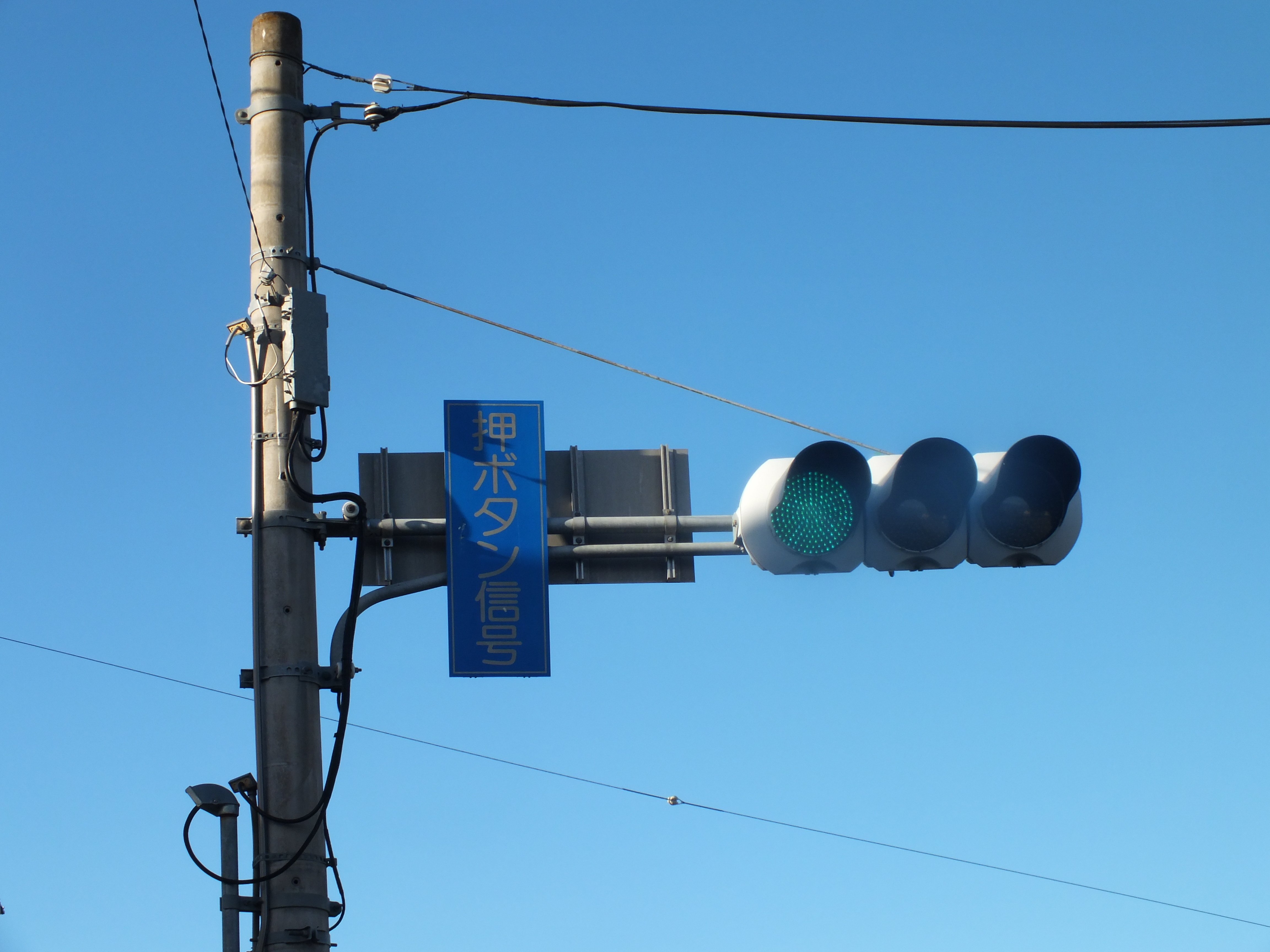 前橋東-275】前橋市上大島町の押ボタン信号にある日信厚型LED 2基