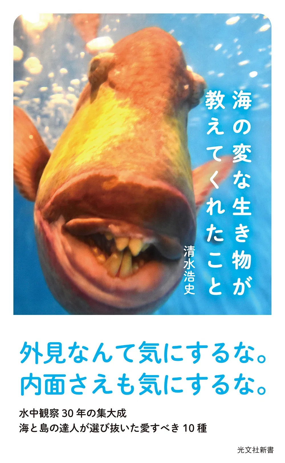 新刊『海の変な生き物が教えてくれたこと』より②ガンガゼ――厄介者の愛