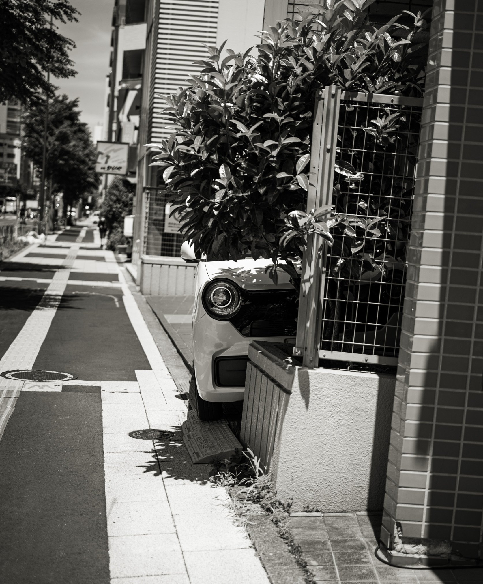 光の中の日本　1000人の写真家が撮った一年間 Amazon.co.jp: 日本の写真家〈30〉東松照明 : 長野 重一, 飯沢