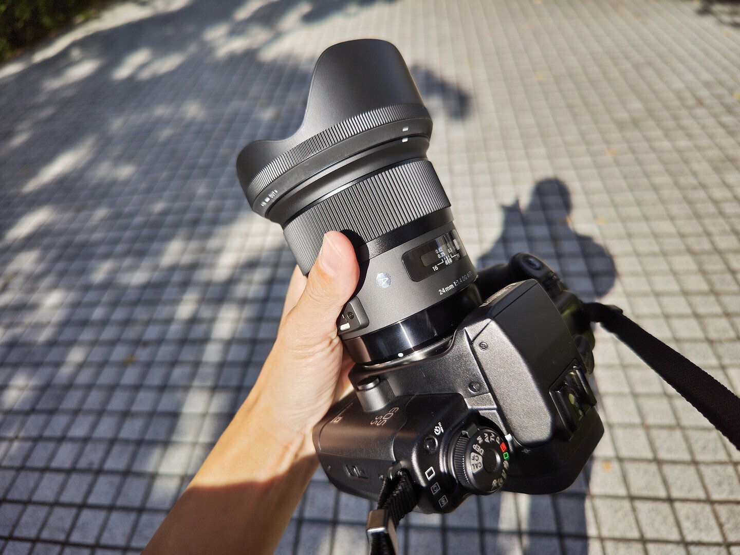 フィルムEOSとデジタルサードパーティレンズについて｜mayuri