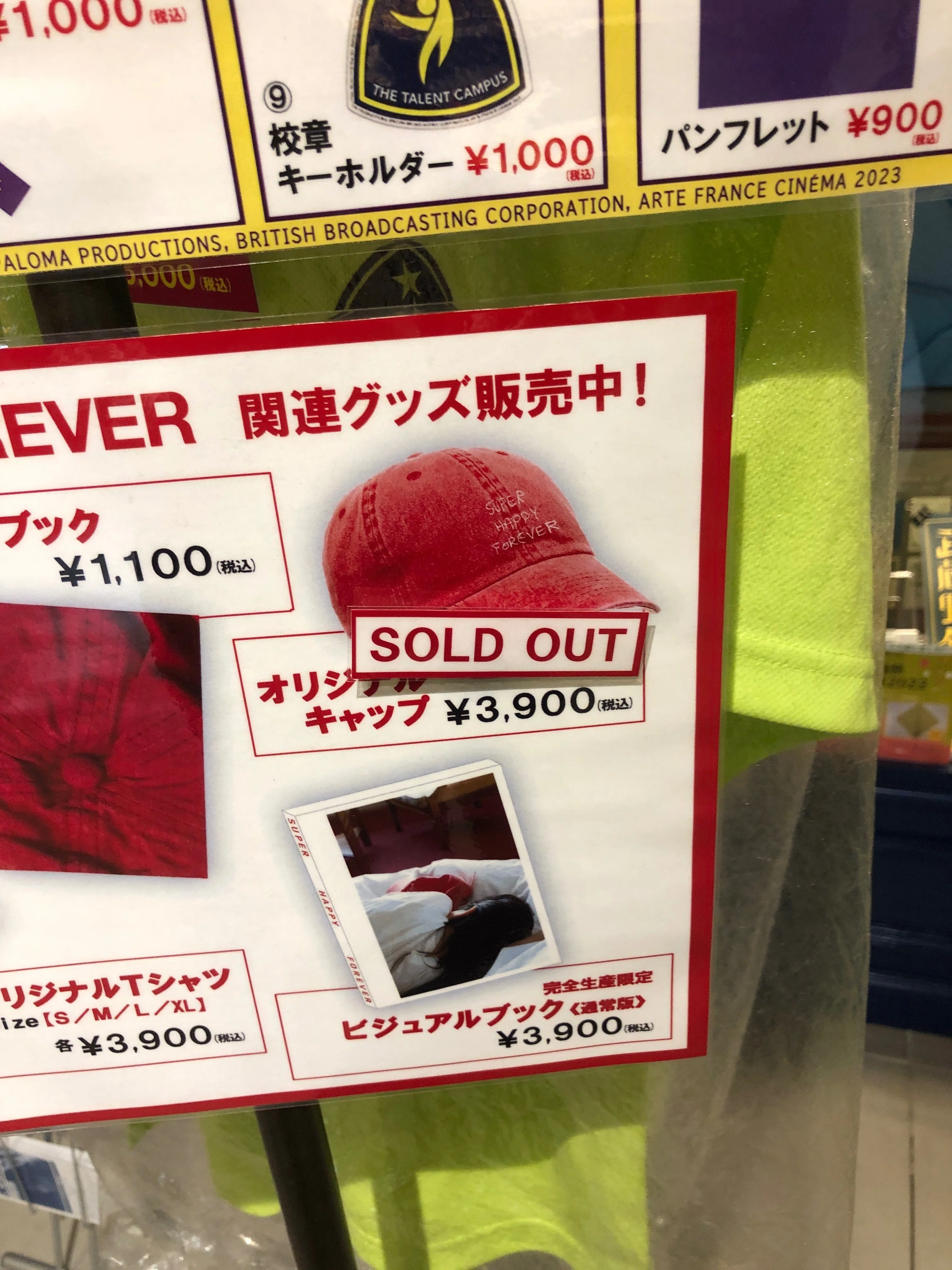 SUPER HAPPY FOREVER」は面白い構造の映画。不親切なような、親切な