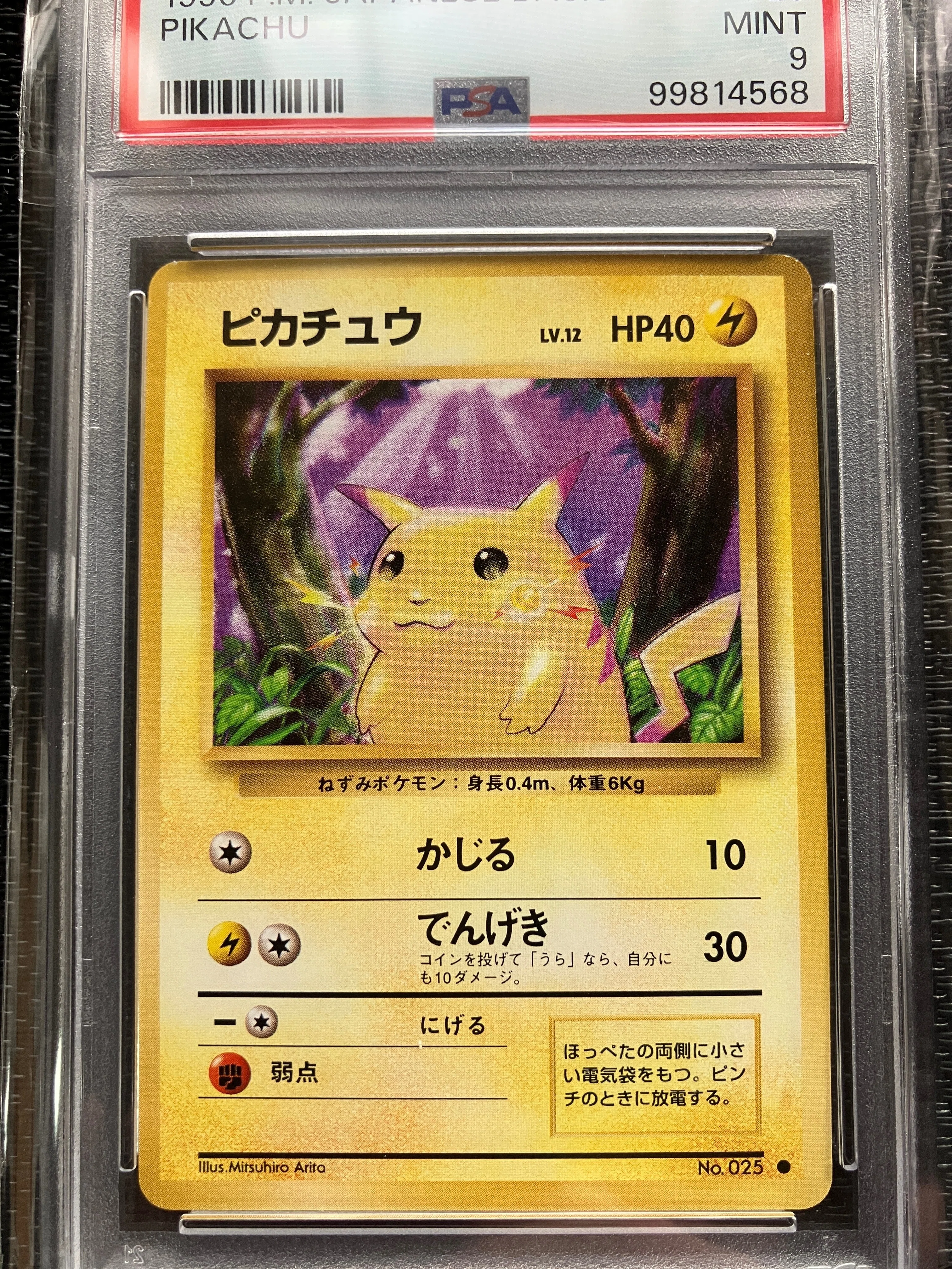 ねずみポケモンピカチュウ ｜こぶつみうらの推しトレカ