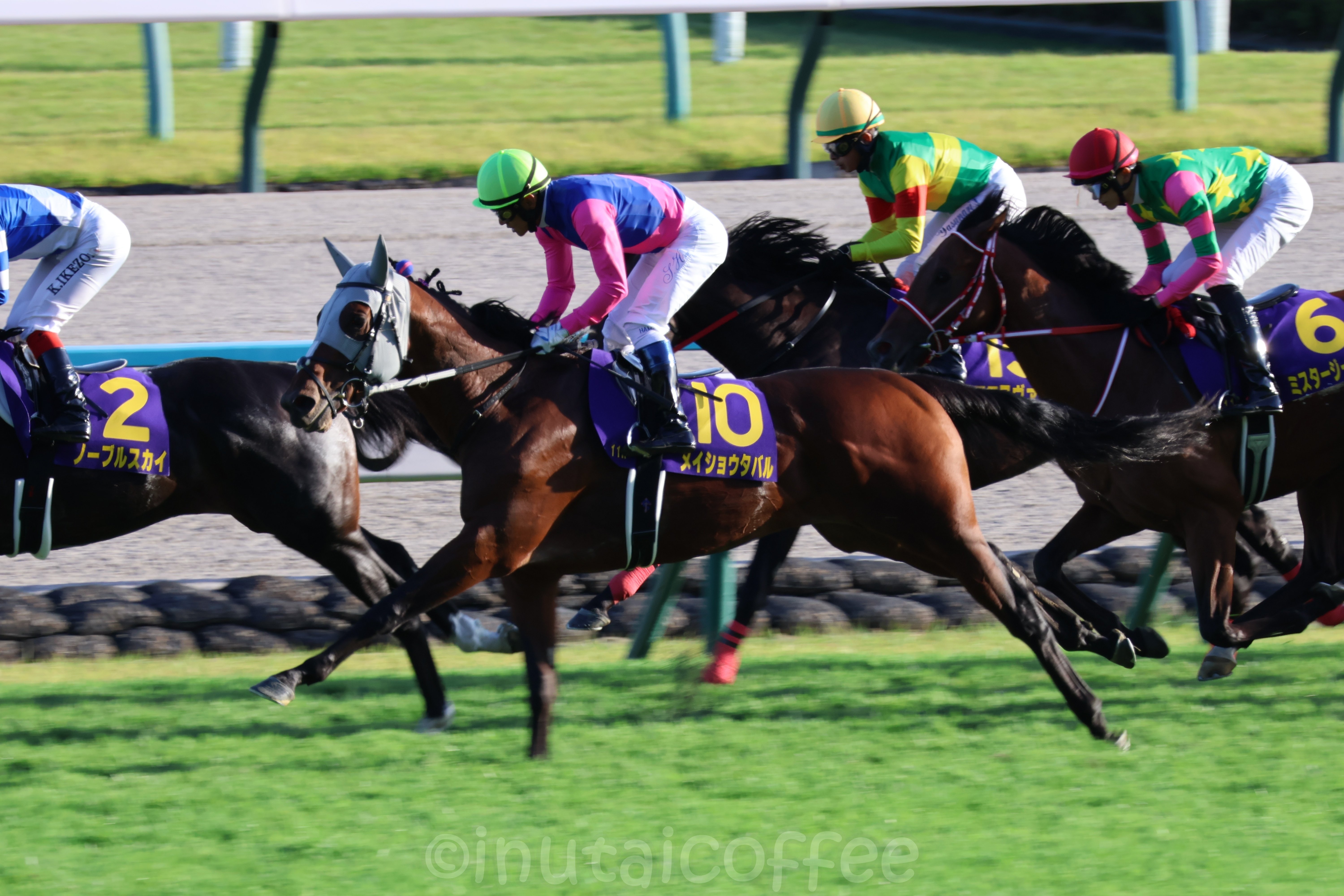 デジタルカメラで撮影しました過去の競馬の写真 カメラ初心者が1年間をふりかえる｜いぬたい