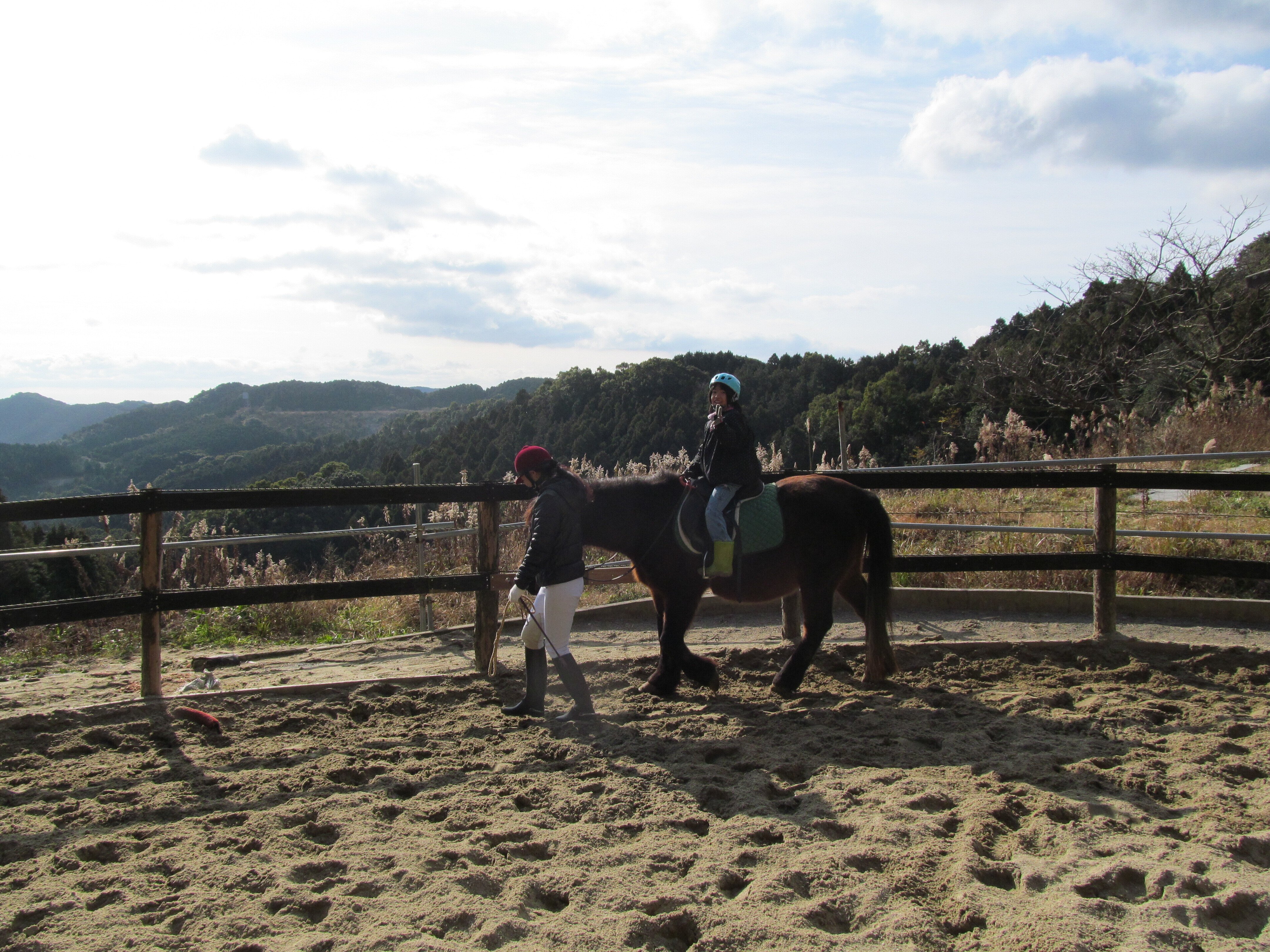 坂の街 長崎市で平成9年まで荷運びをしていた馬が、今年（2024年）の8