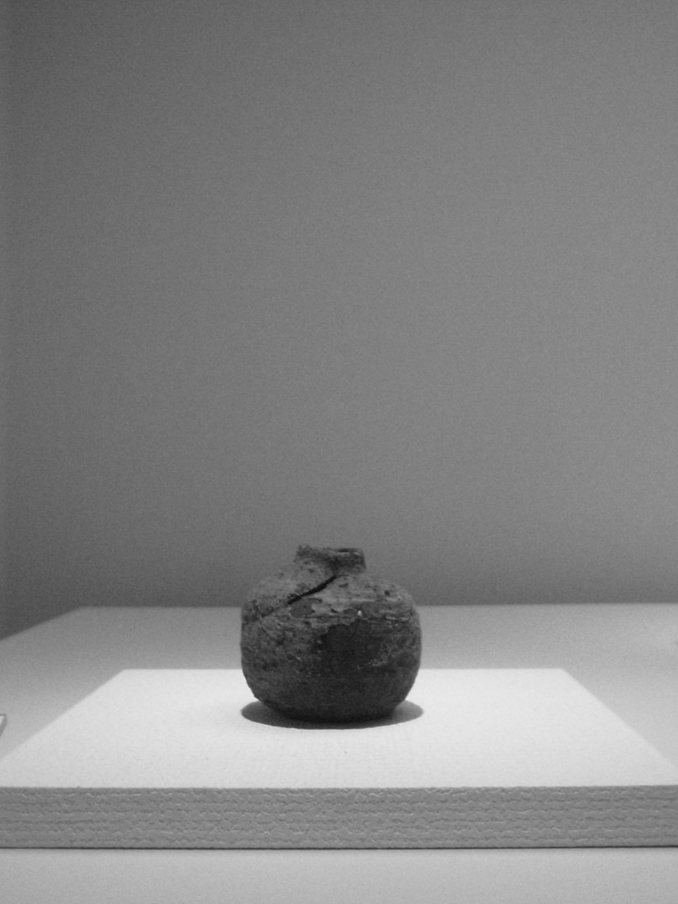 企画展 國吉清尚｜tres monos solitarios