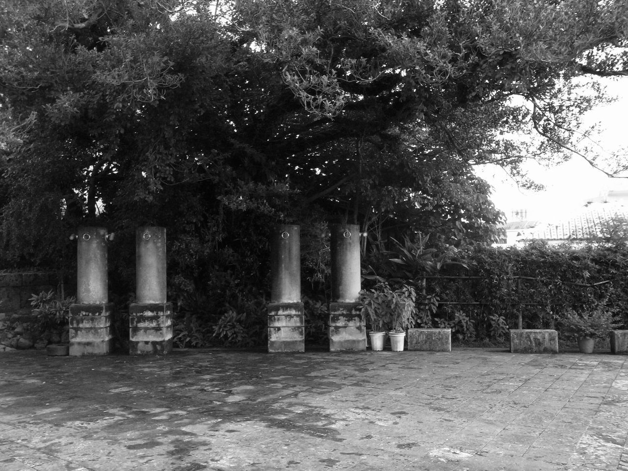 企画展 國吉清尚｜tres monos solitarios