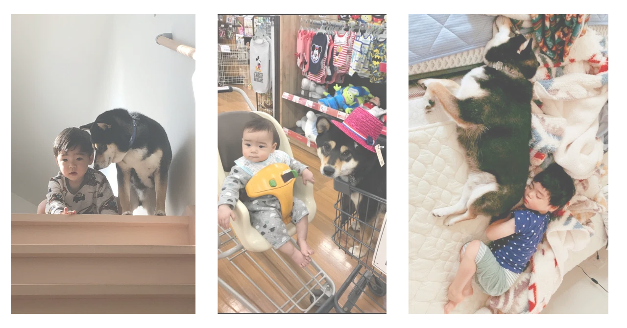 愛犬の死を経験した2024年｜リエゾン（みうらりえ）