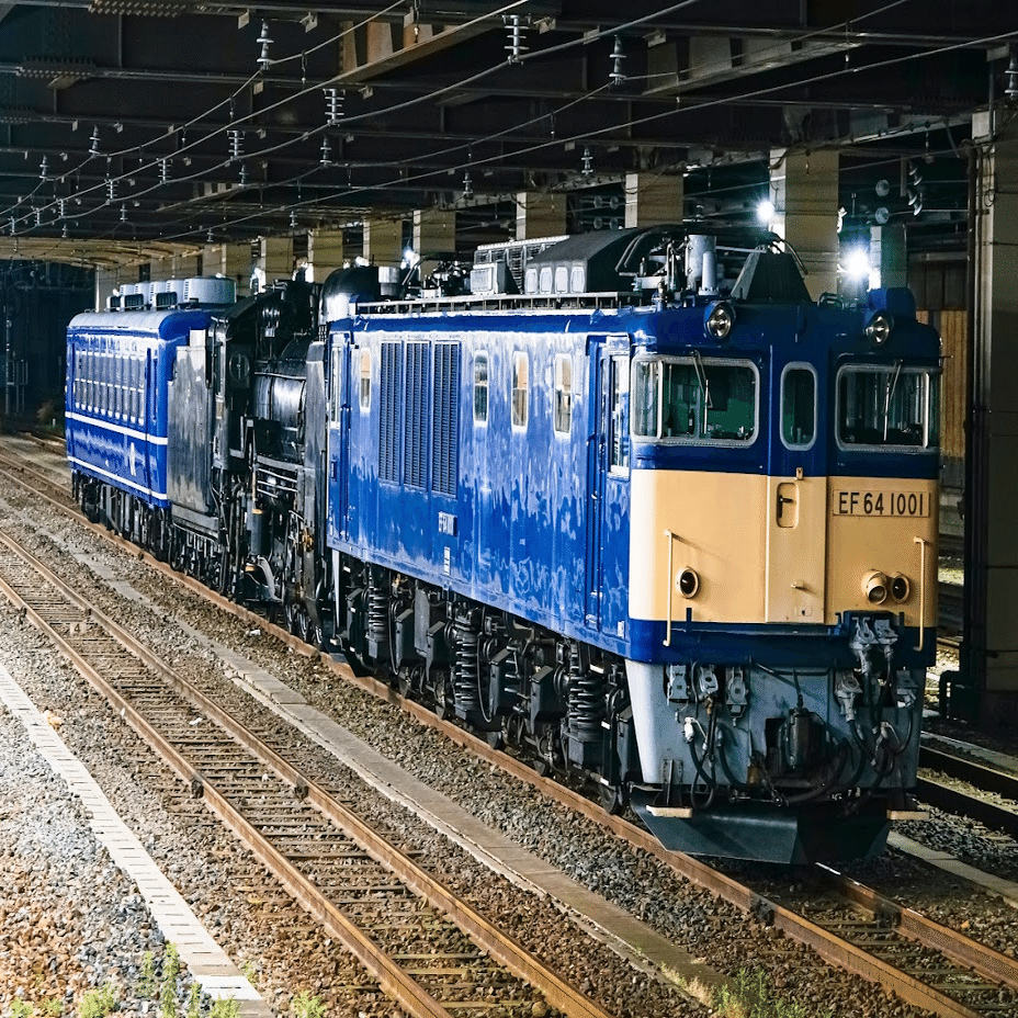 2024年を振り返る③｜龍56