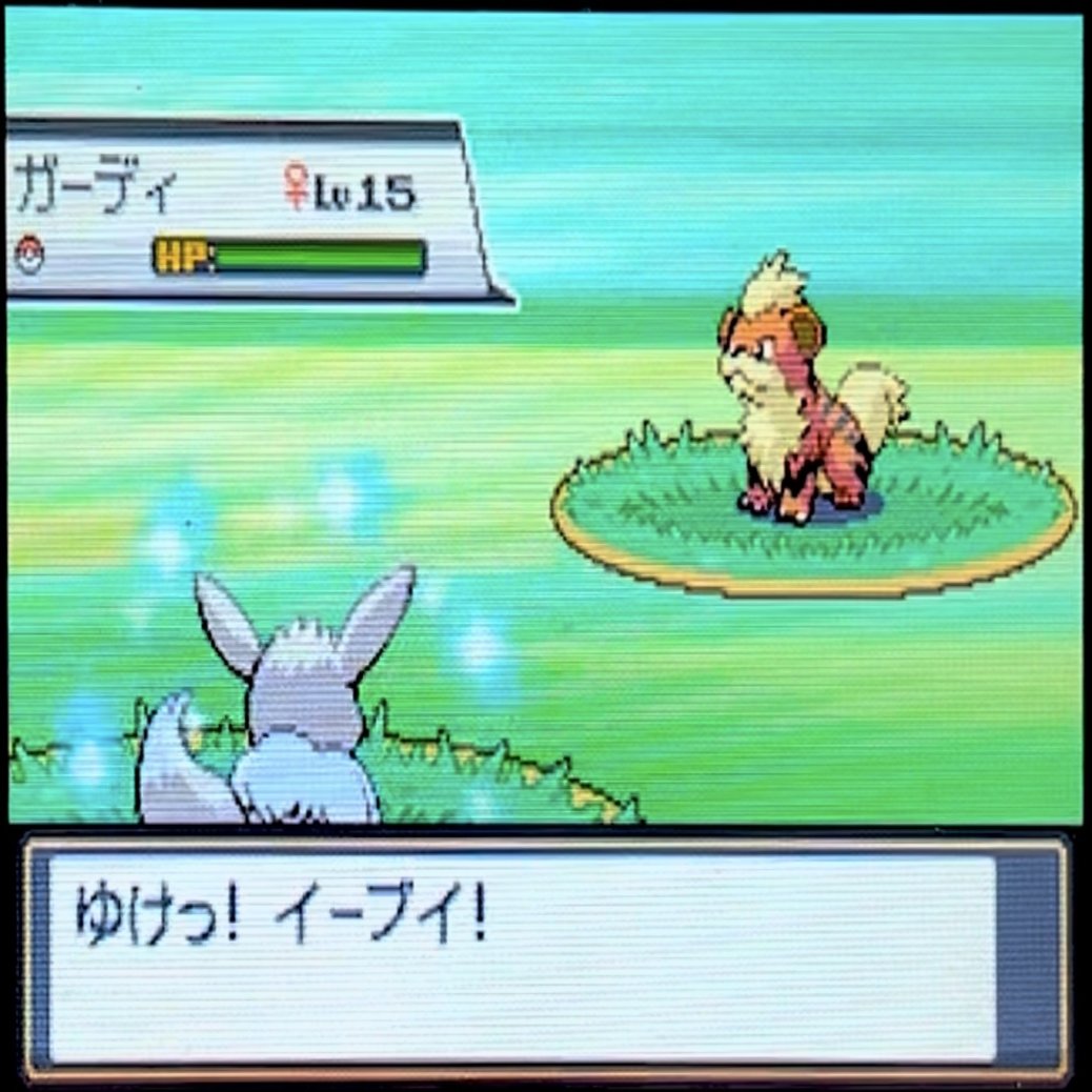 HGSSの色厳選報告①｜くまちゃんのポケモン日記