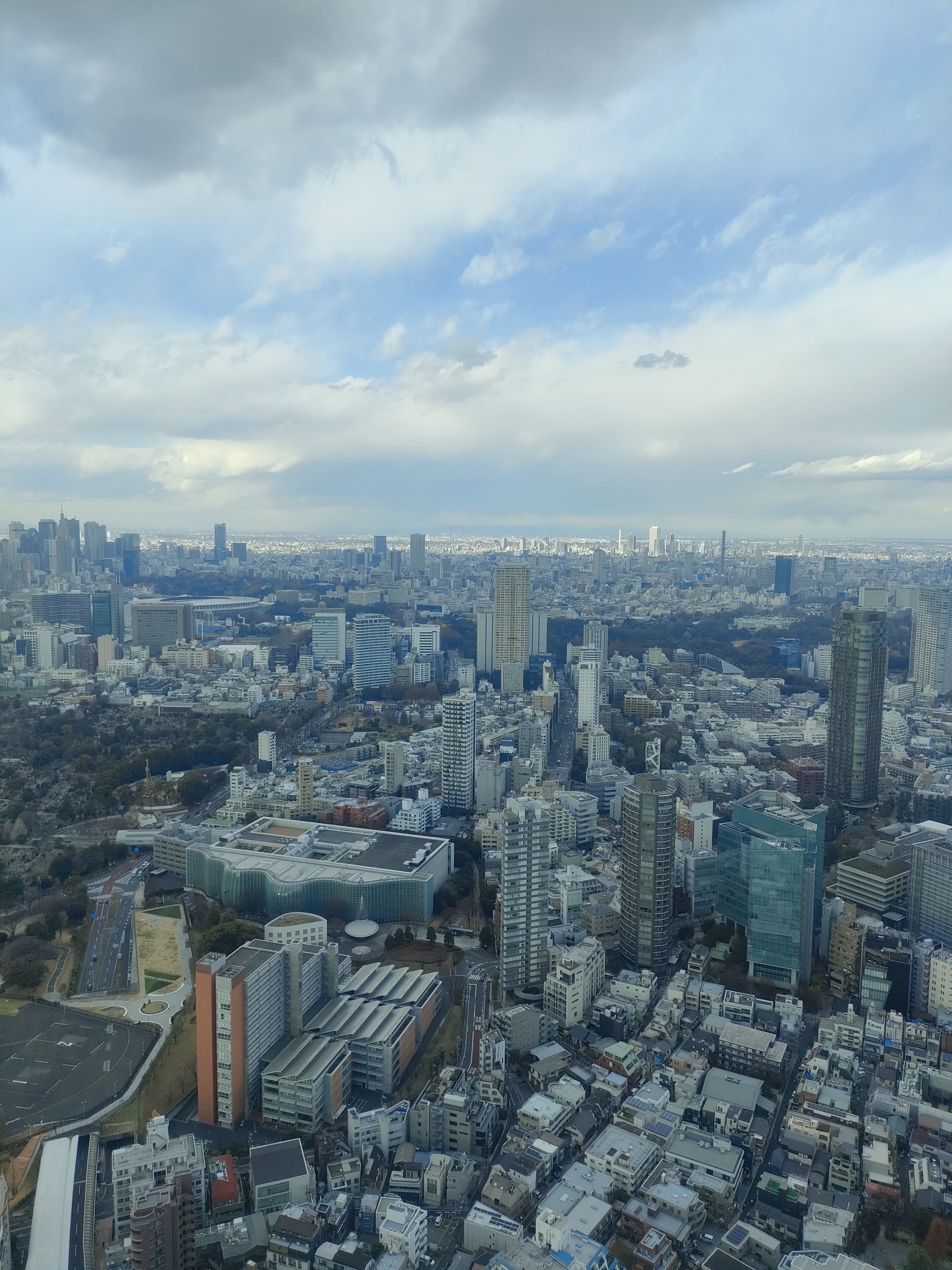ルイーズ・ブルジョワ展から帰ってきたところ 言っとくけど