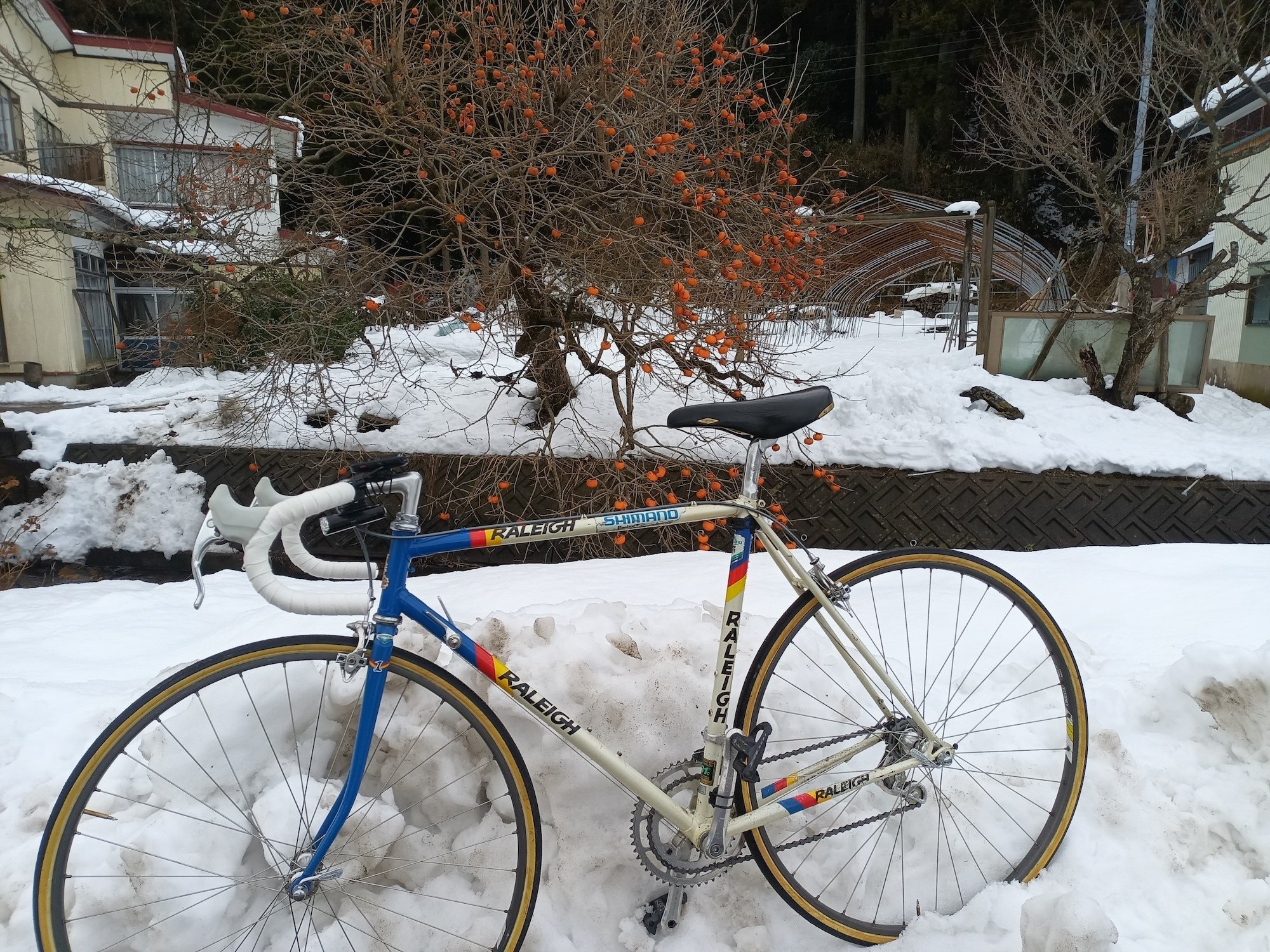 リアル80年代のロードレーサー： 35年ぶりにRALEIGHに乗ってみた