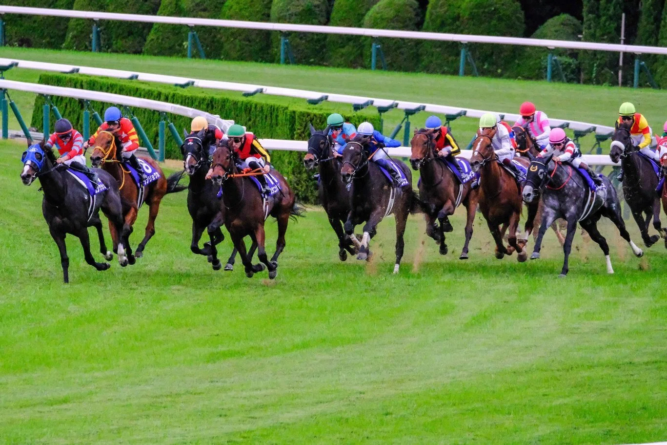 ＮＯ、15になります 他の方はご遠慮下さい 蹄鉄50個　競走馬取り外し 蹄音、望遠レンズの彼方に｜ハバネロ