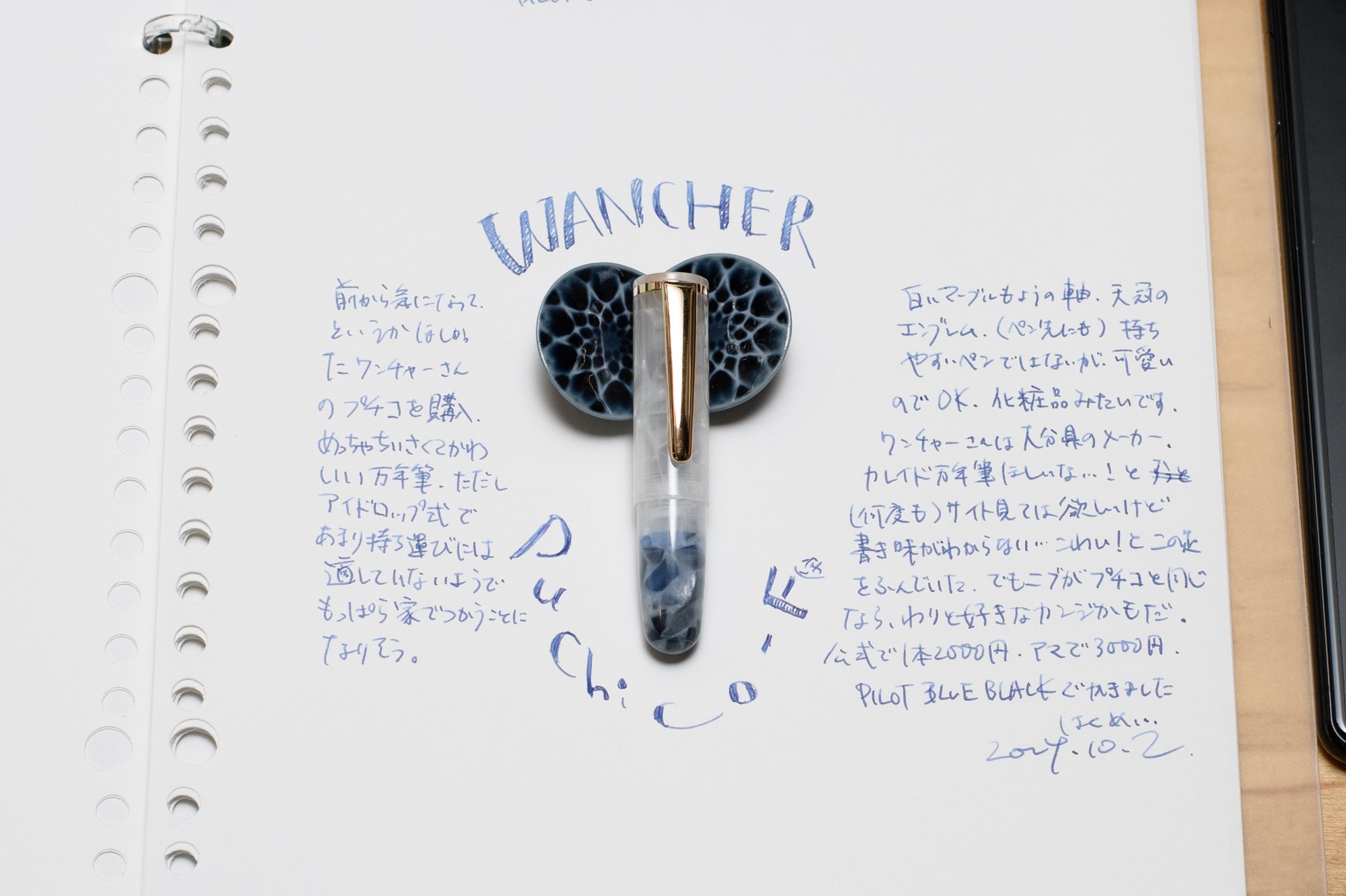 PILOT プラチナ　万年筆 　3点　まとめ　現状 PILOT プラチナ 万年筆 3点 まとめ 現状