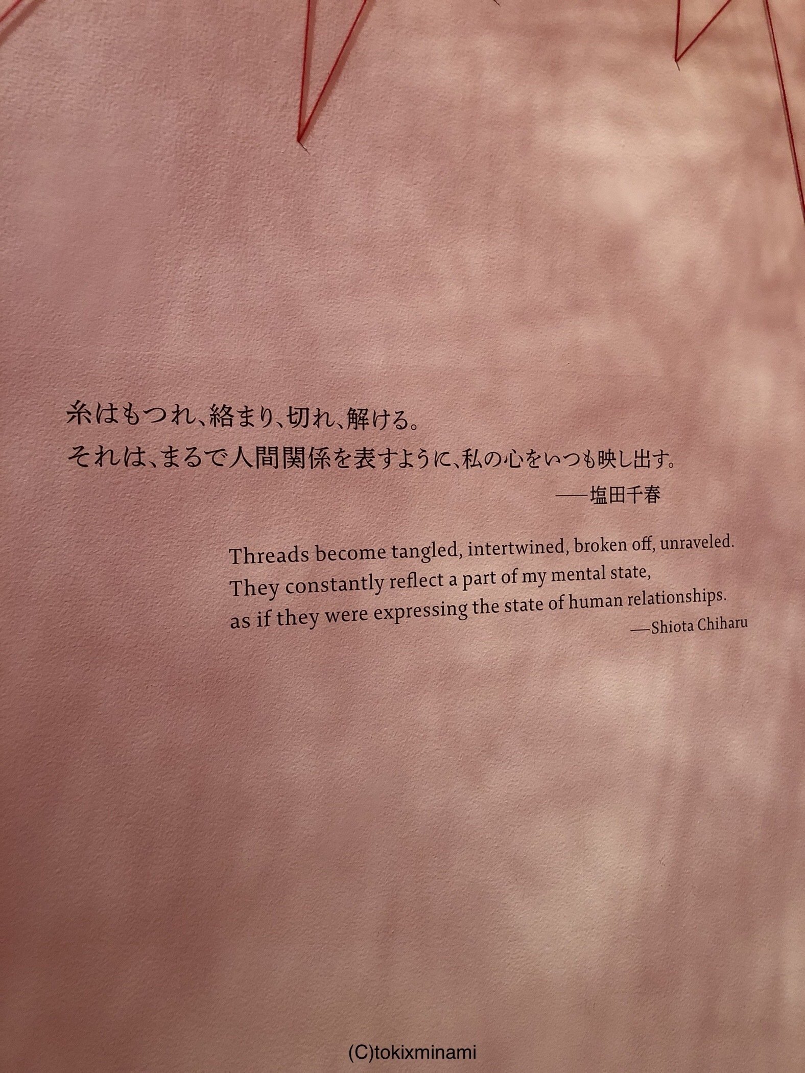 塩田千春展 魂がふるえる 2019｜Toki Minami