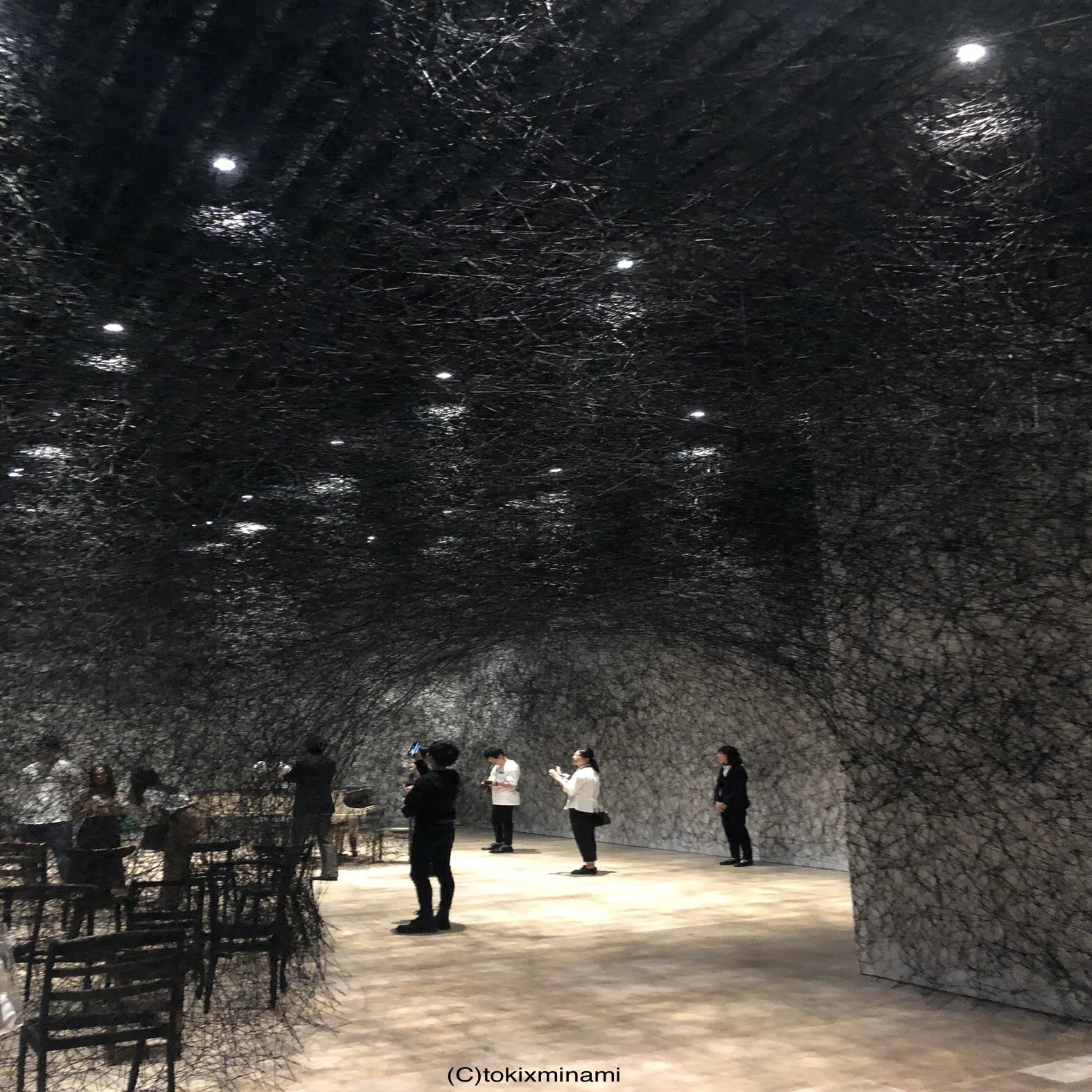 塩田千春展 魂がふるえる 2019｜Toki Minami
