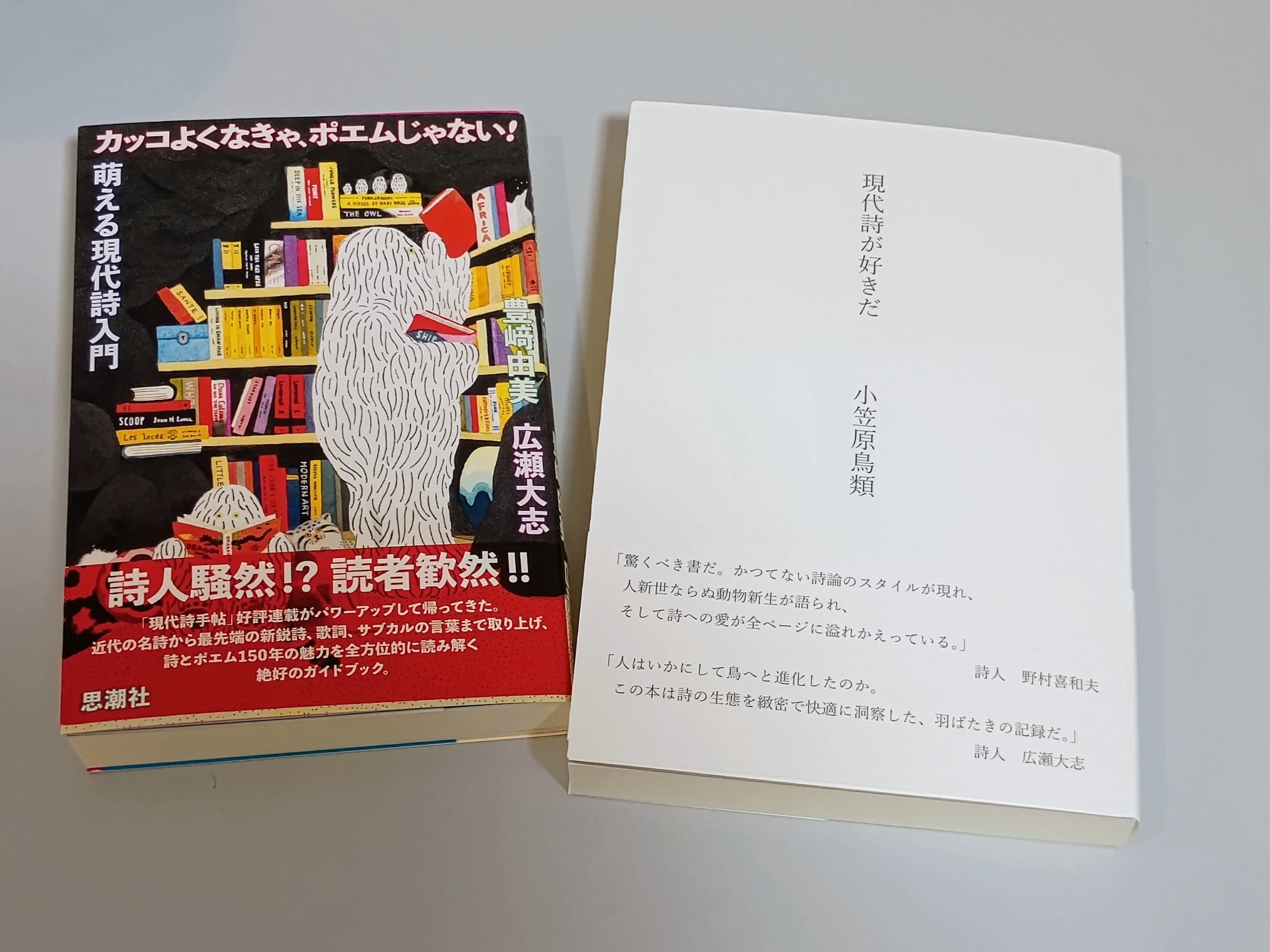 現代詩って何が良いのか？ 現代詩フェスティバルと『かっこよくなきゃ