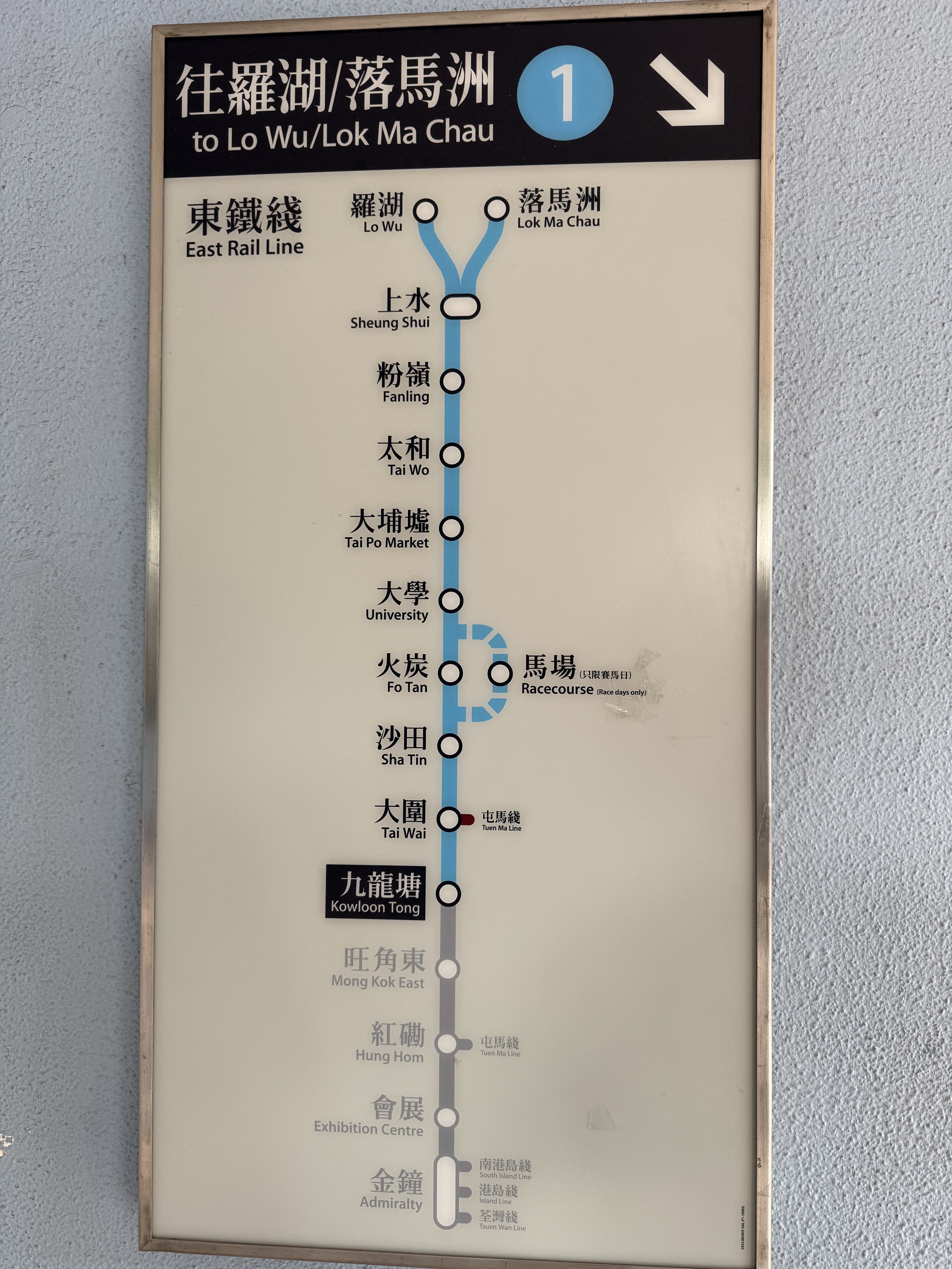 香港国際競走の歩き方｜香港競馬完全ガイド