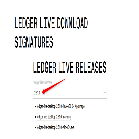 入金や取引がLedger Liveに表示されない理由とは？｜ledgersv