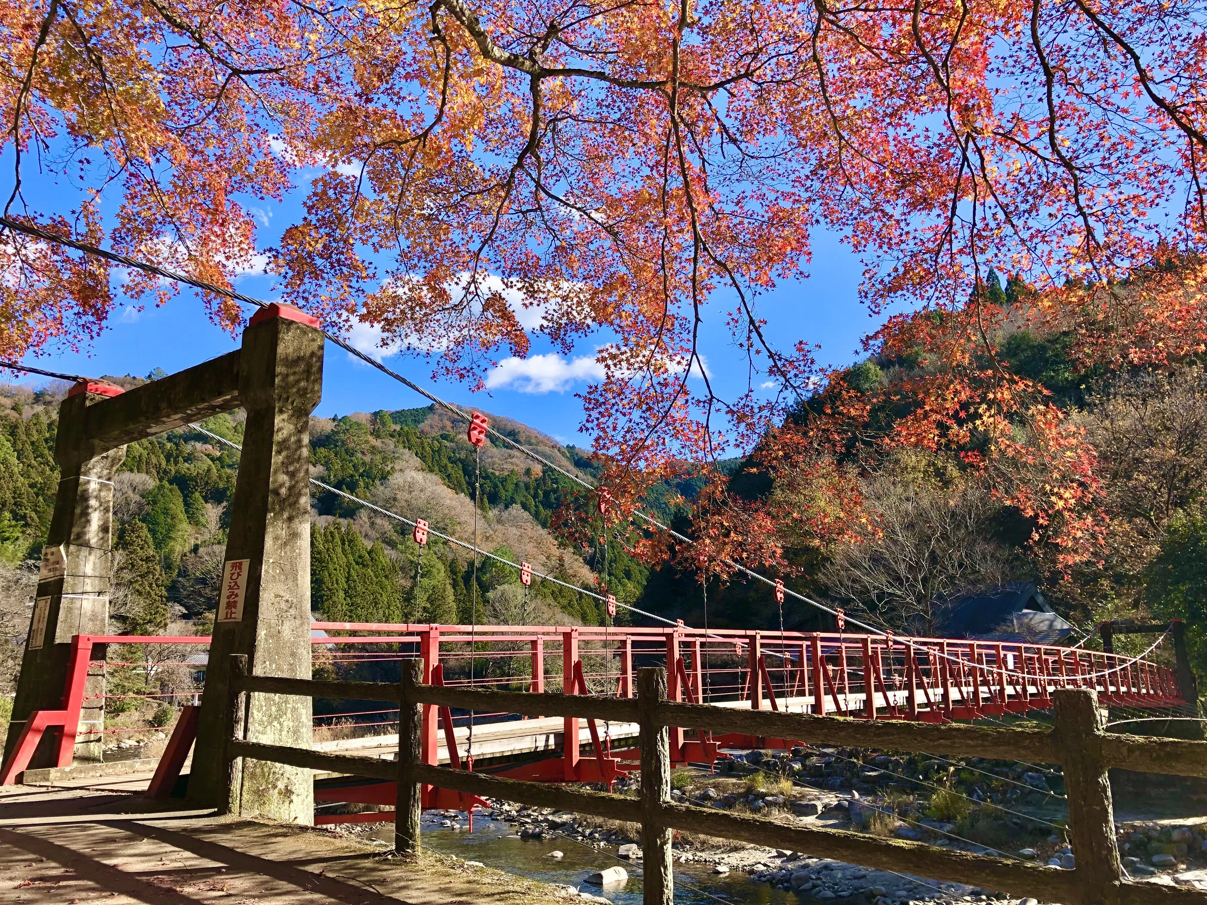 豊田市足助周辺の山城へ行ってきました。｜ぐこ