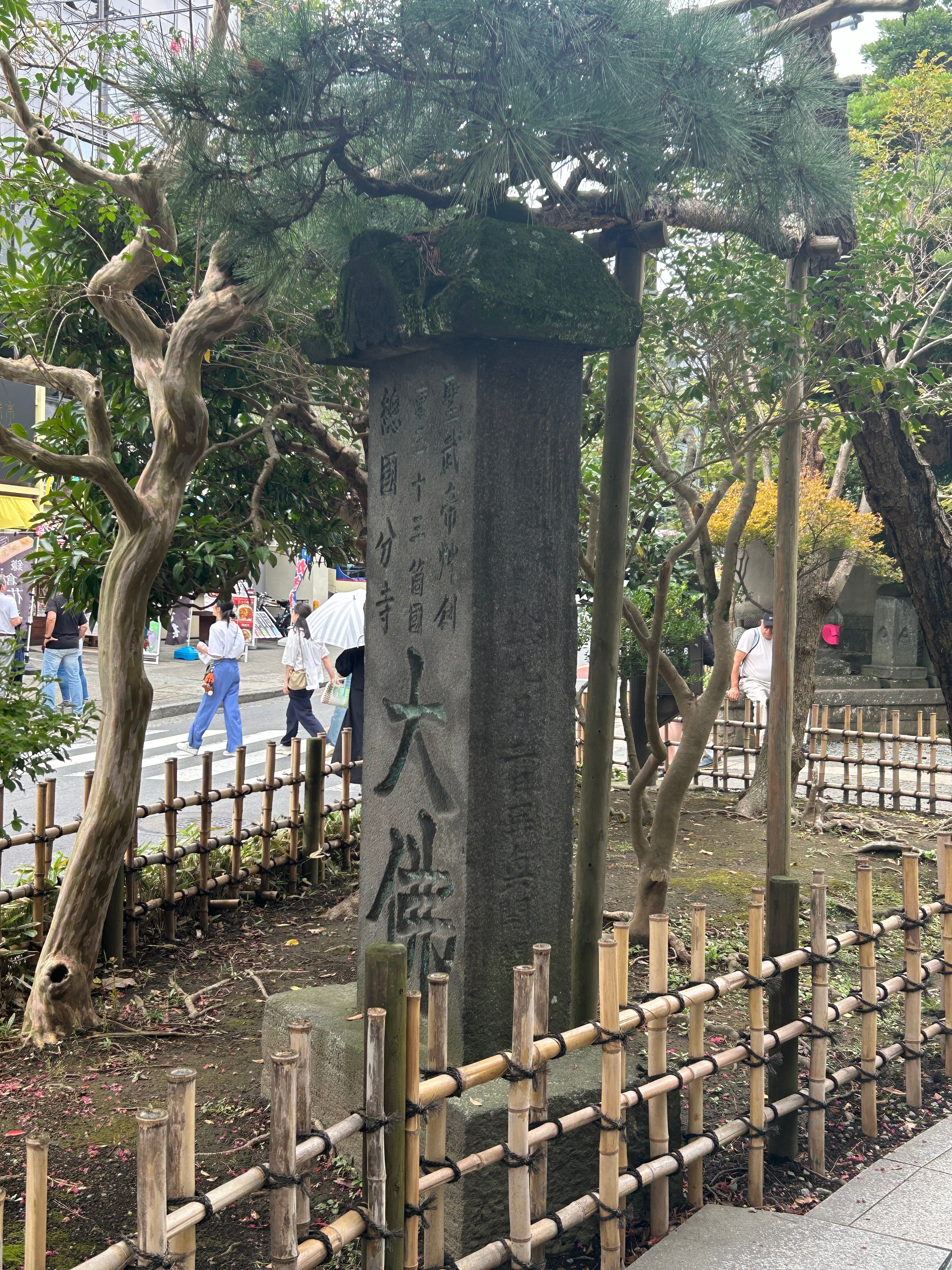 2024TOKYO 鎌倉大仏 鶴岡八幡宮〜⑥|♭のぶ 2024TOKYO 鎌倉大仏 鶴岡八幡宮〜⑥|♭のぶ