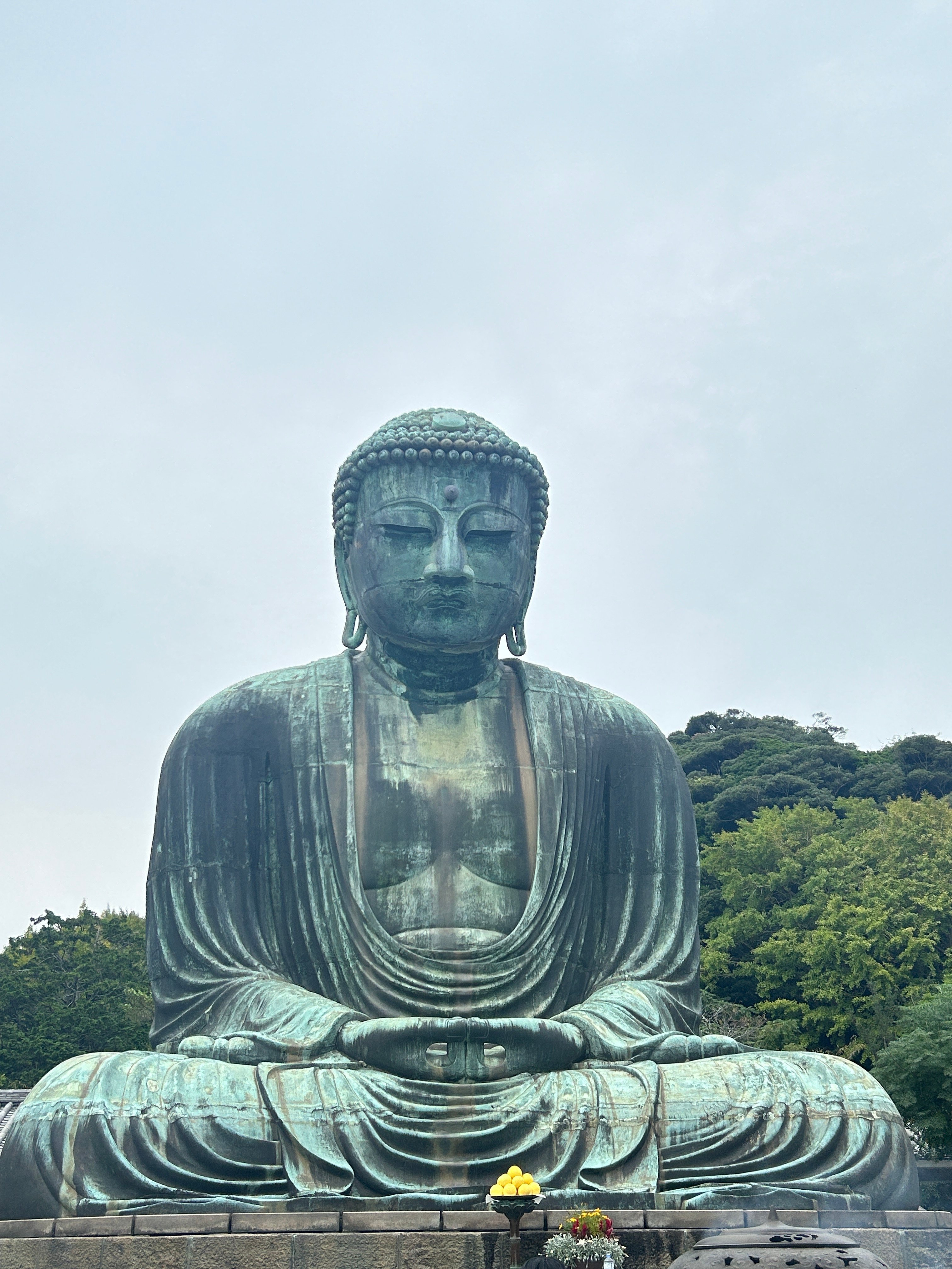 2024TOKYO 鎌倉大仏 鶴岡八幡宮〜⑥|♭のぶ 2024TOKYO 鎌倉大仏 鶴岡八幡宮〜⑥|♭のぶ