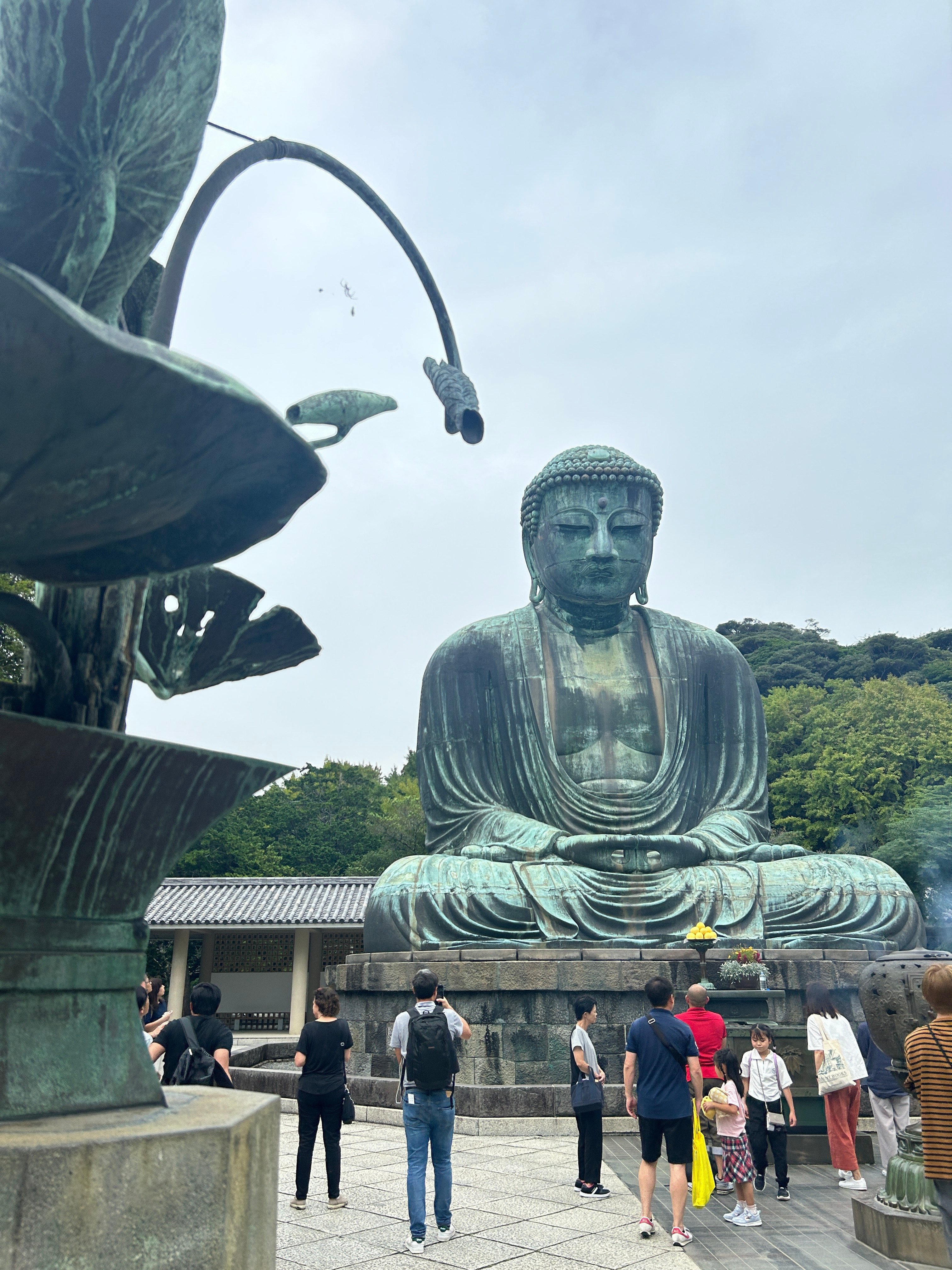 2024TOKYO 鎌倉大仏 鶴岡八幡宮〜⑥｜♭のぶ