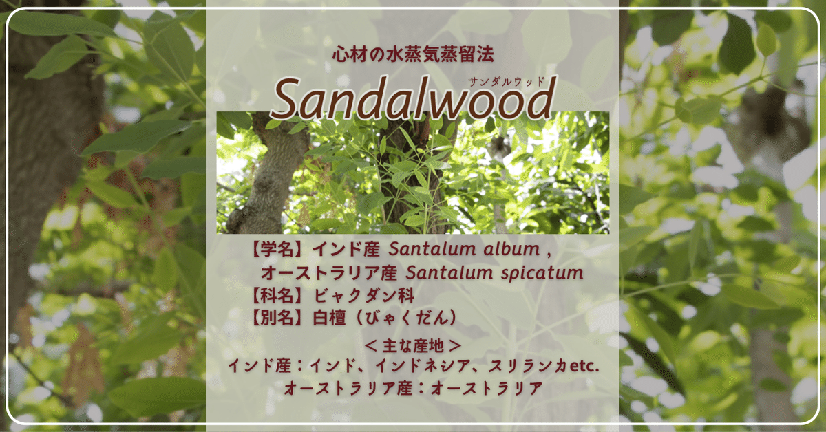 楽天市場】プラナロム サンダルウッド エッセンシャルオイル