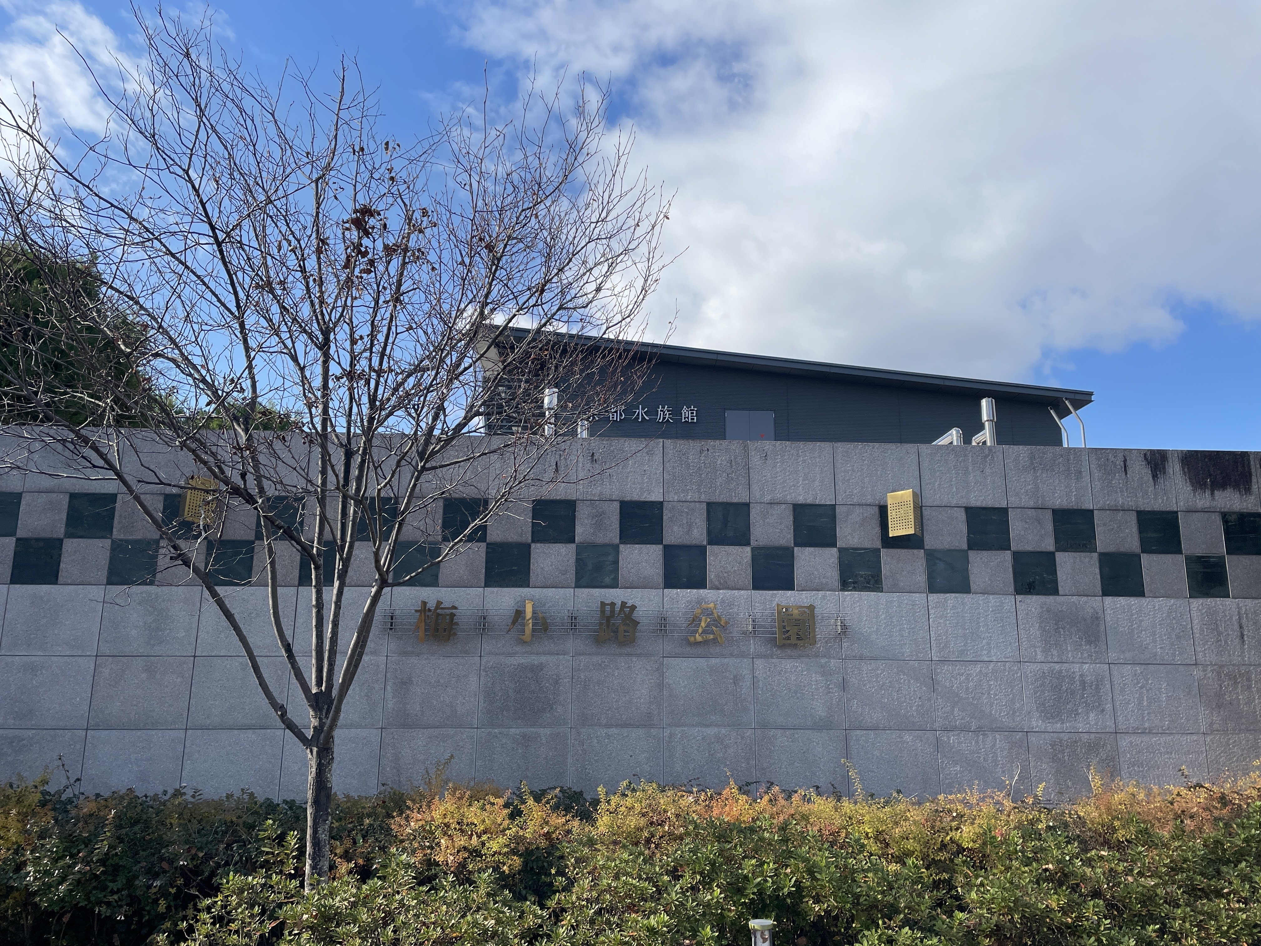 梅小路公園までの行き方｜小さいりつ