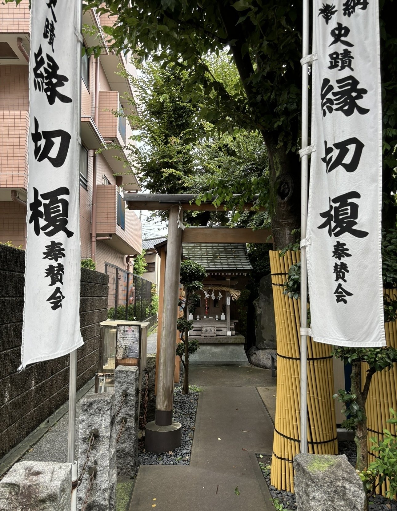 2024年の振り返りとか｜琴子