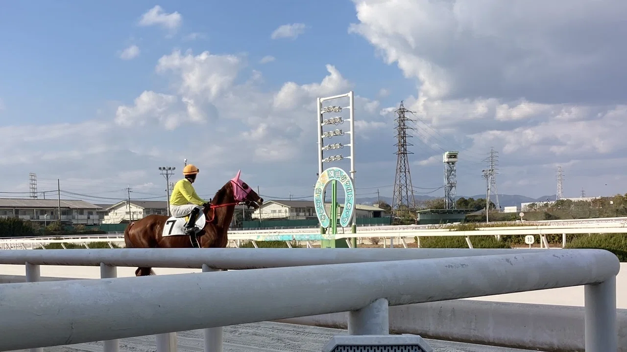 初めての園田競馬場現地観戦の雑多メモ（2024/12/31）｜師走