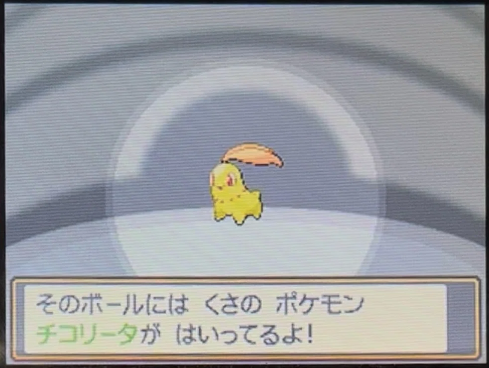 HGSSの色厳選報告②｜くまちゃんのポケモン日記