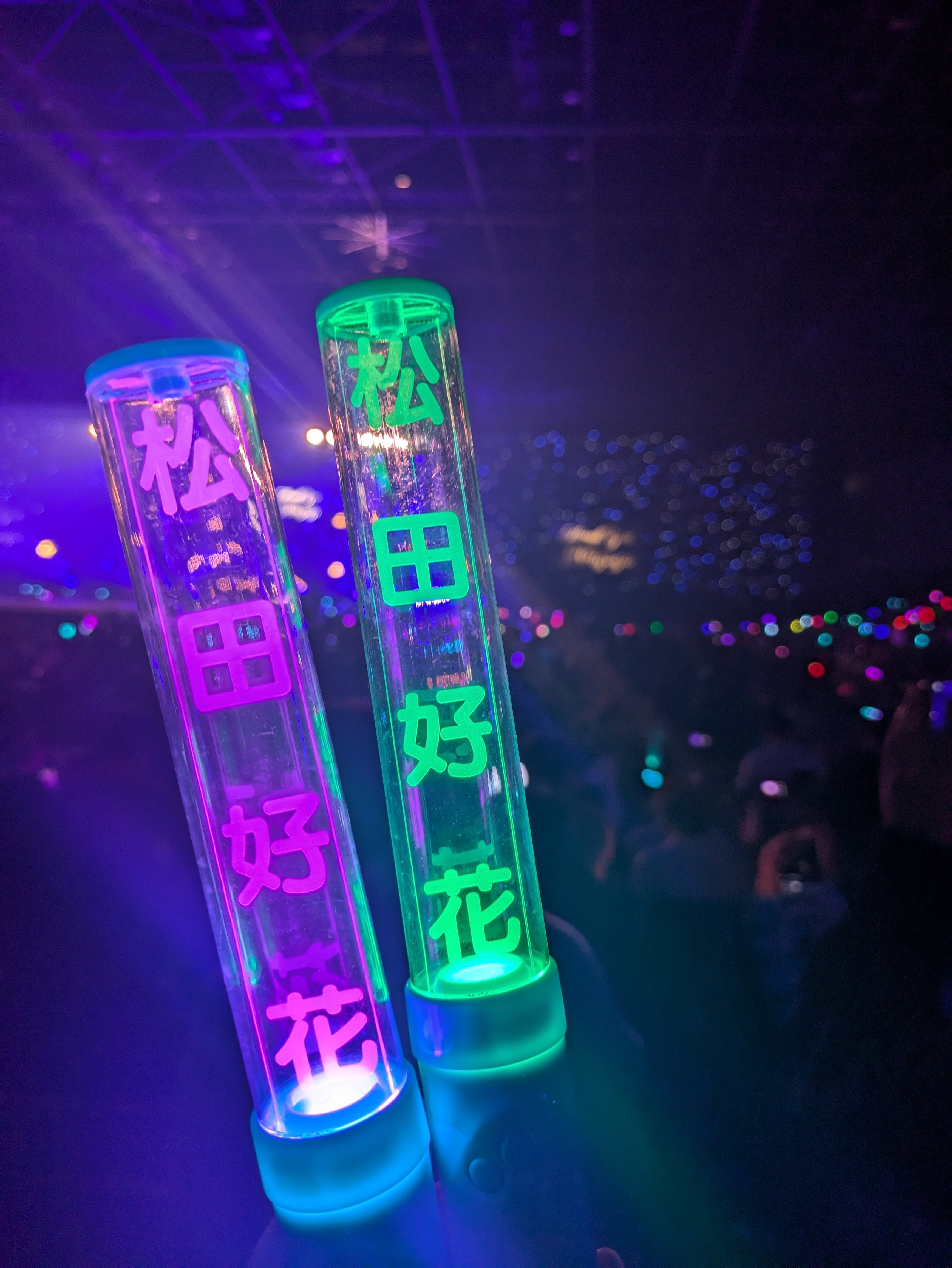 2024年日向坂46推し活まとめ｜けたろう