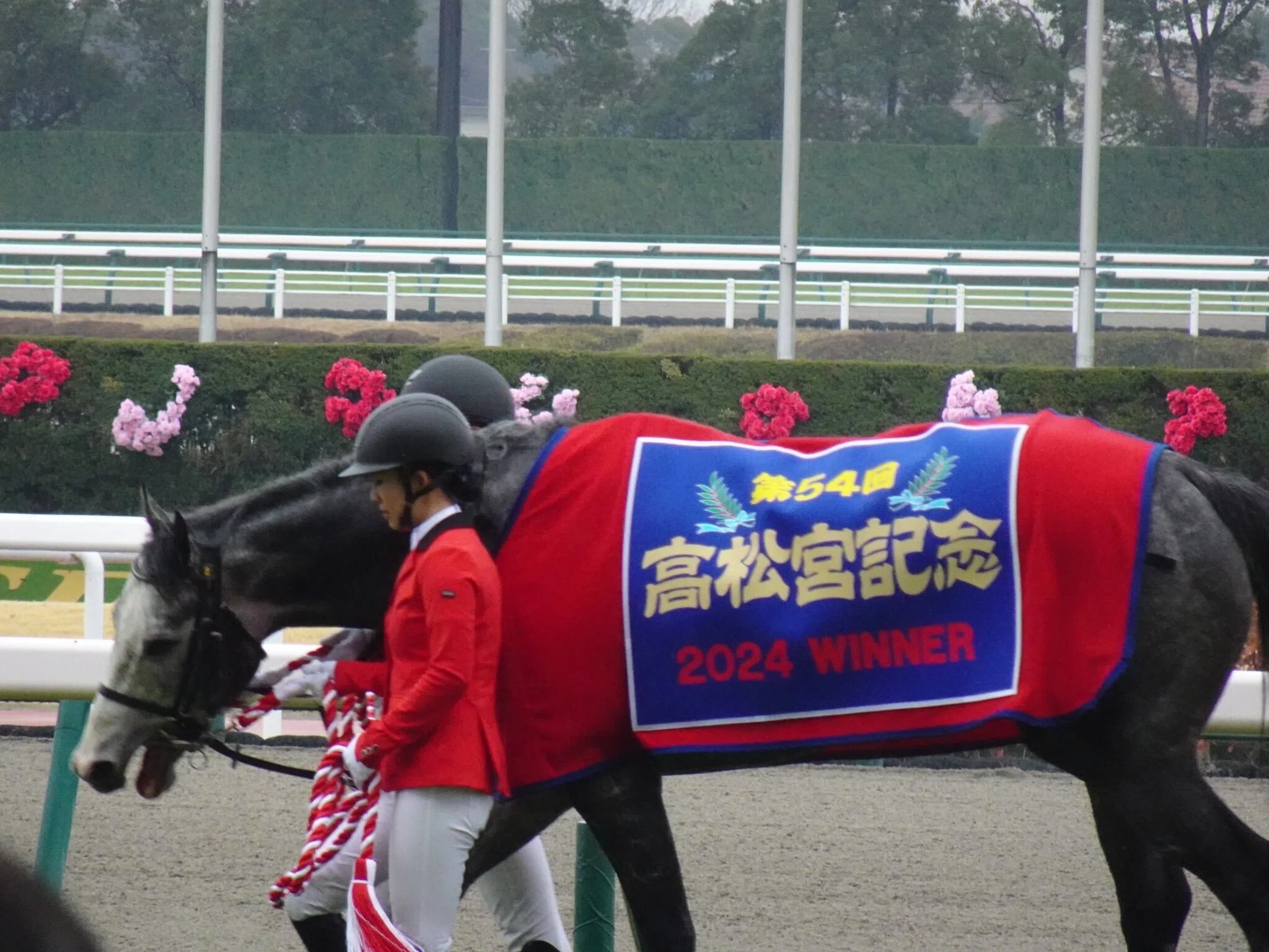 2024年に行った競馬場まとめ｜ふうあつけん