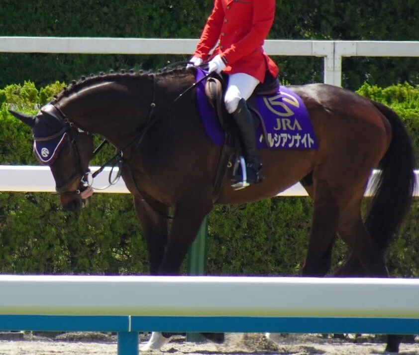 2024年に行った競馬場まとめ｜ふうあつけん
