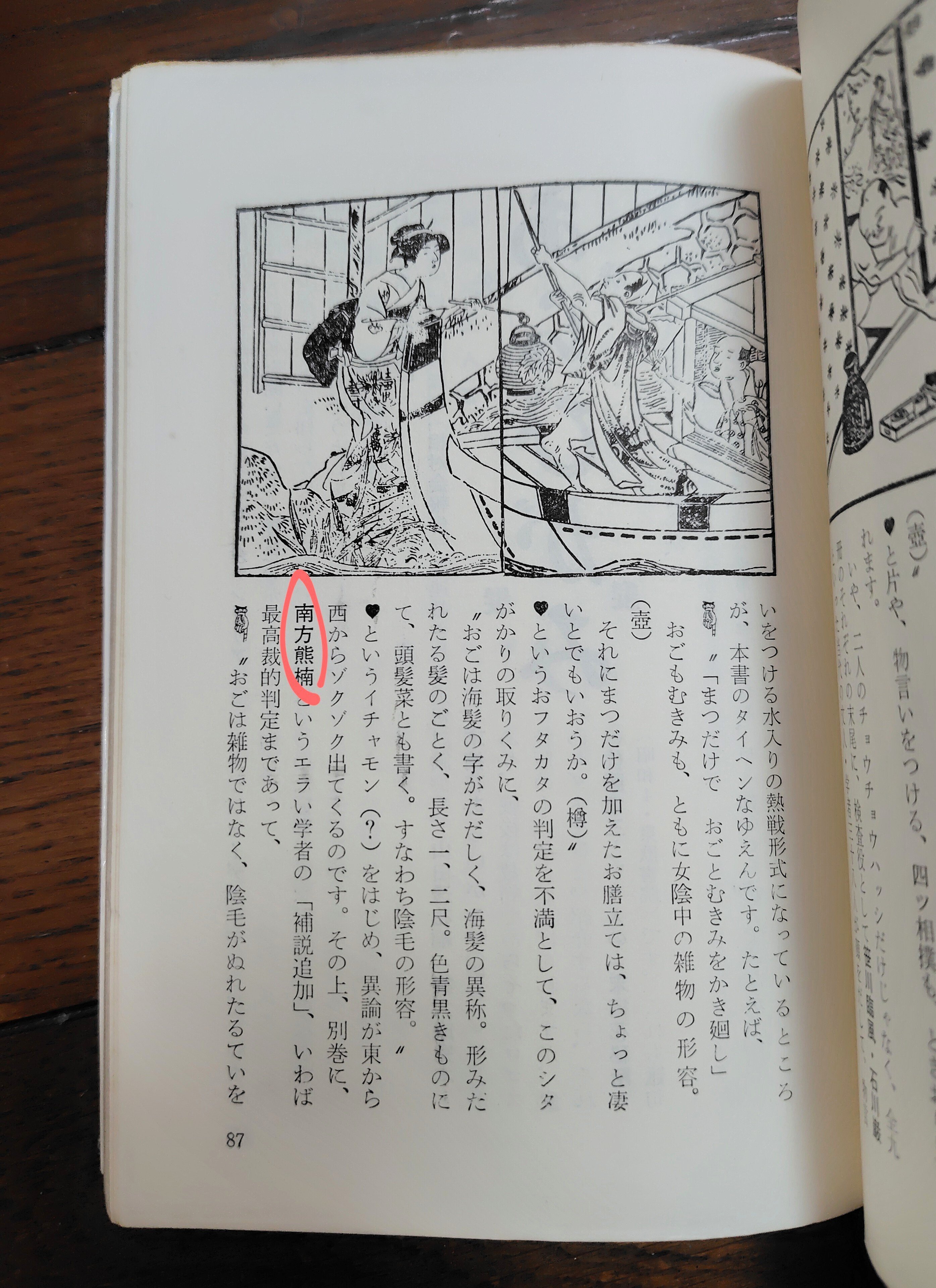 南方熊楠選集 1〜6巻 別巻 南方熊楠選集 (第6巻) 履歴書・燕石考―ほか | 南方 熊楠 |本