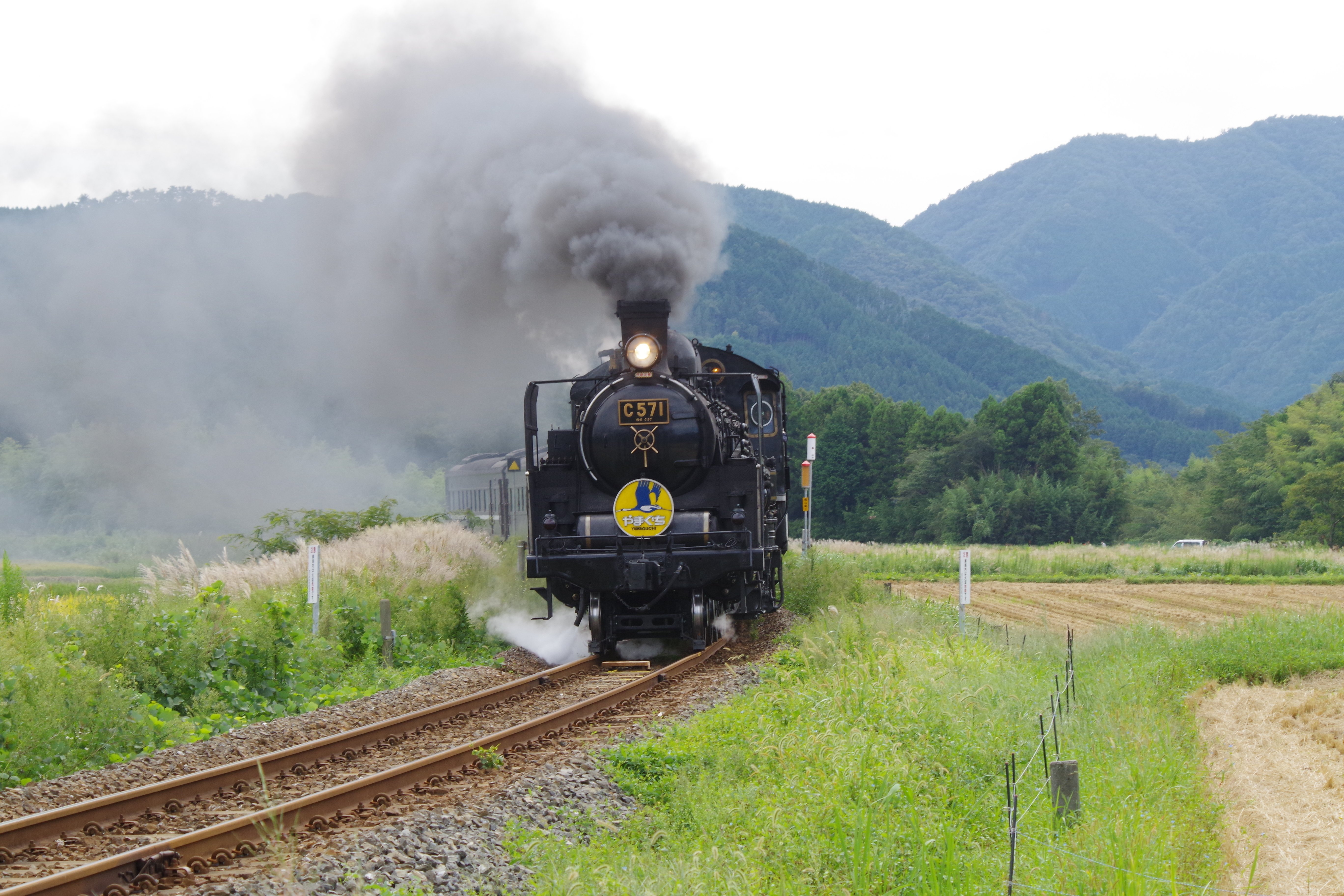 SLやまぐち号 貴婦人を観に行きました｜とも