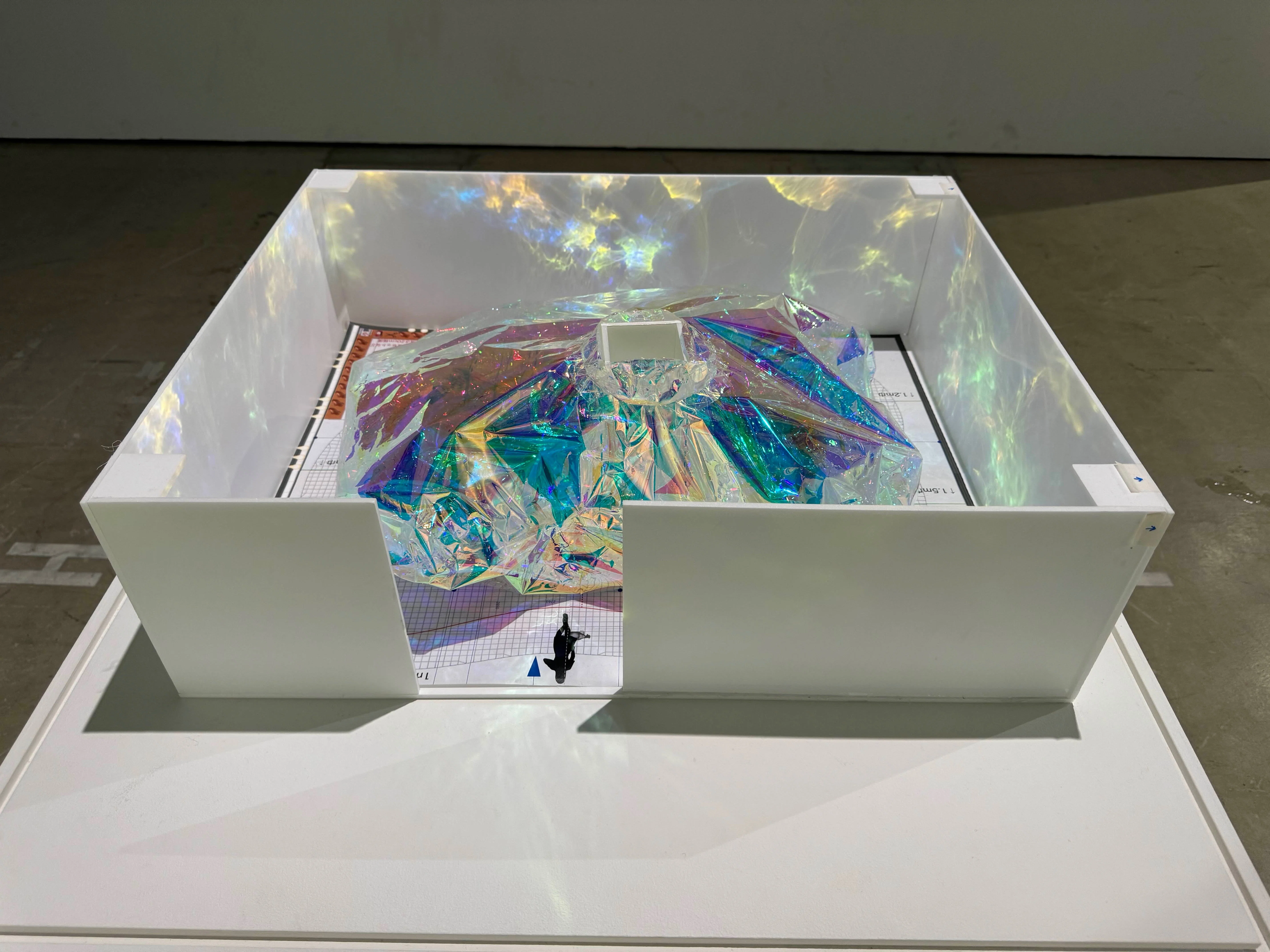 美術展2025#05】T2 Collection「Collecting? Connecting?」展@WHAT