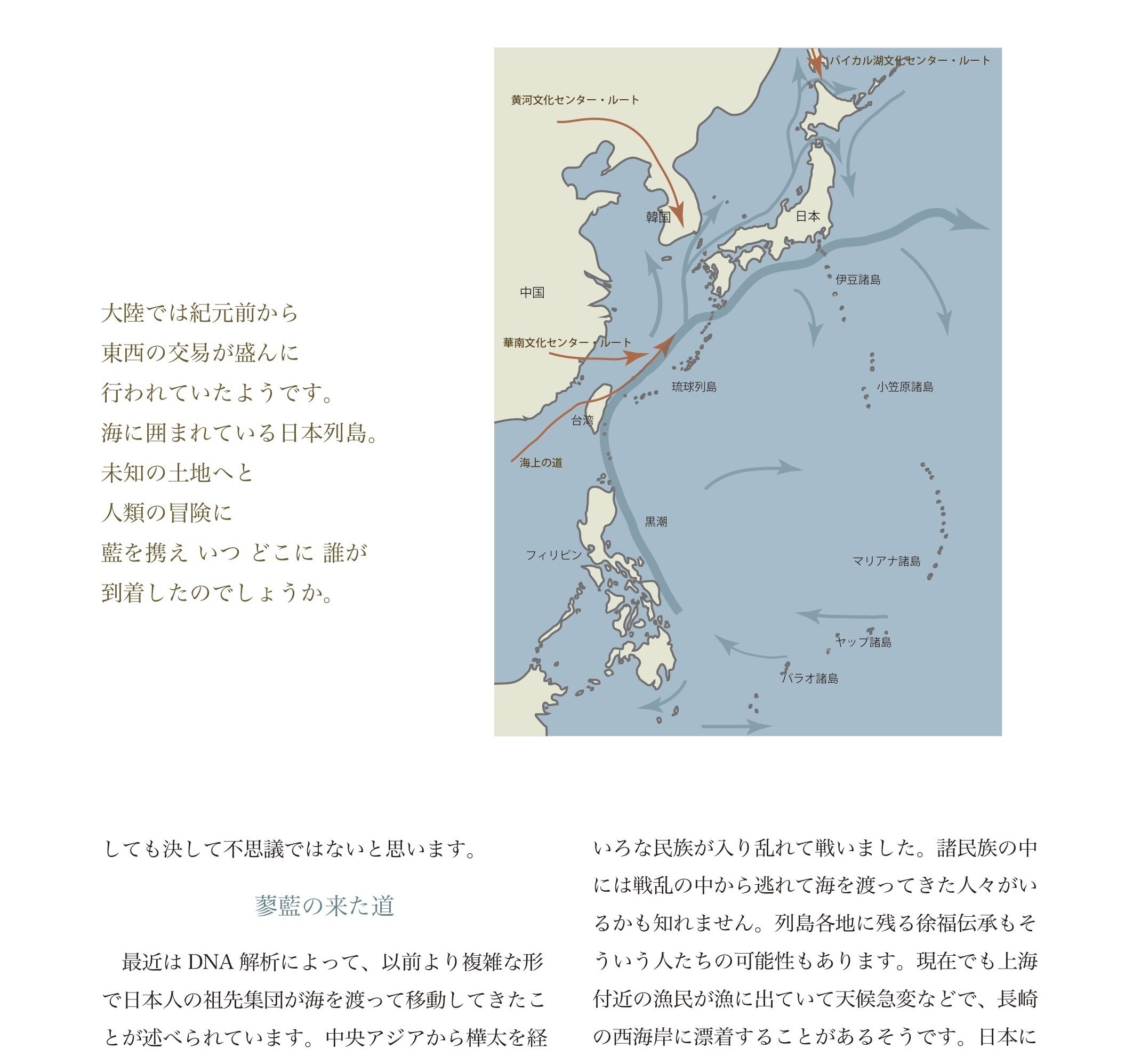 書籍『阿波藍のはなし–藍を通して見る日本史–』 森くみ子|森くみ子 書籍『阿波藍のはなし–藍を通して見る日本史–』 森くみ子|森くみ子
