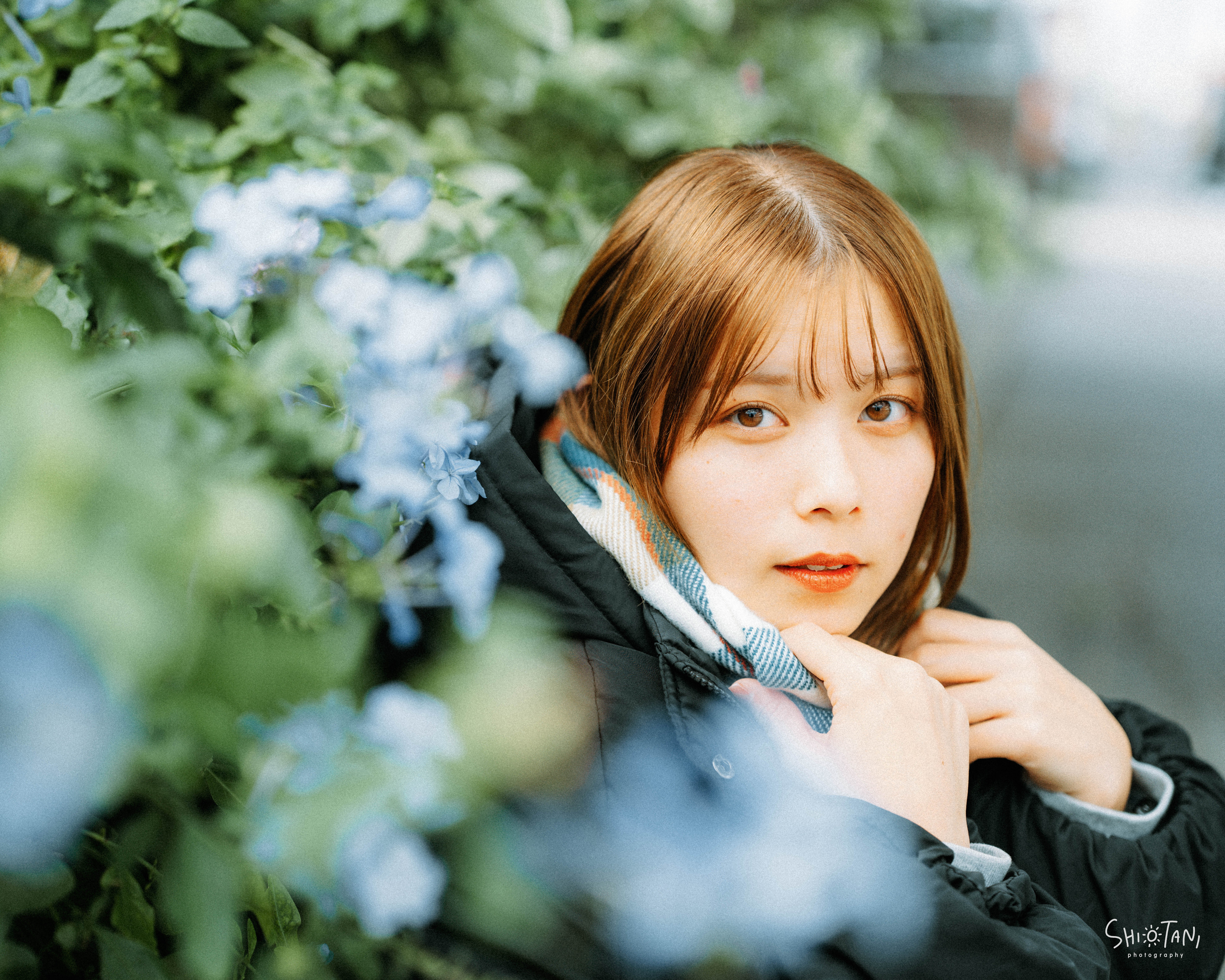 溢れ出る全能感 FE 28-70mm F2 GM レビュー その1｜takumi shiotani