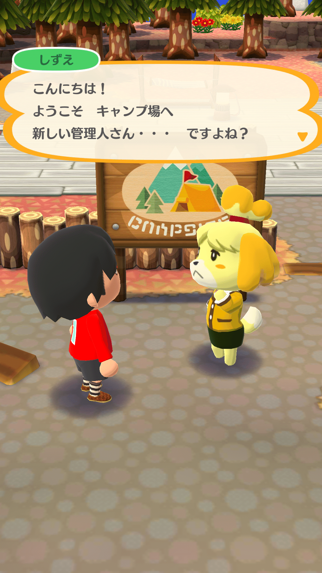 どうぶつの森 ポケットキャンプ（2017～2024）の思い出｜北極羆