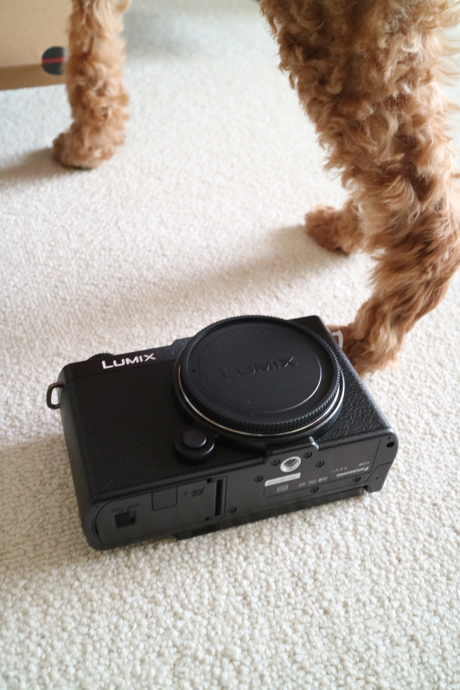憧れのフルサイズ 初めての挫折 LUMIXS9 18-40mmレンズを買って 憧れのフルサイズ 初めての挫折 LUMIXS9 18-40mmレンズを買って