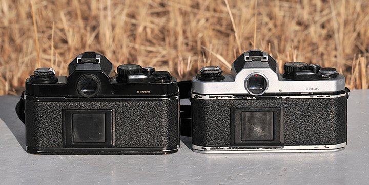 ニコンNew FM2 シンプルかつ使い勝手のいいフィルムカメラ｜渡邊博士